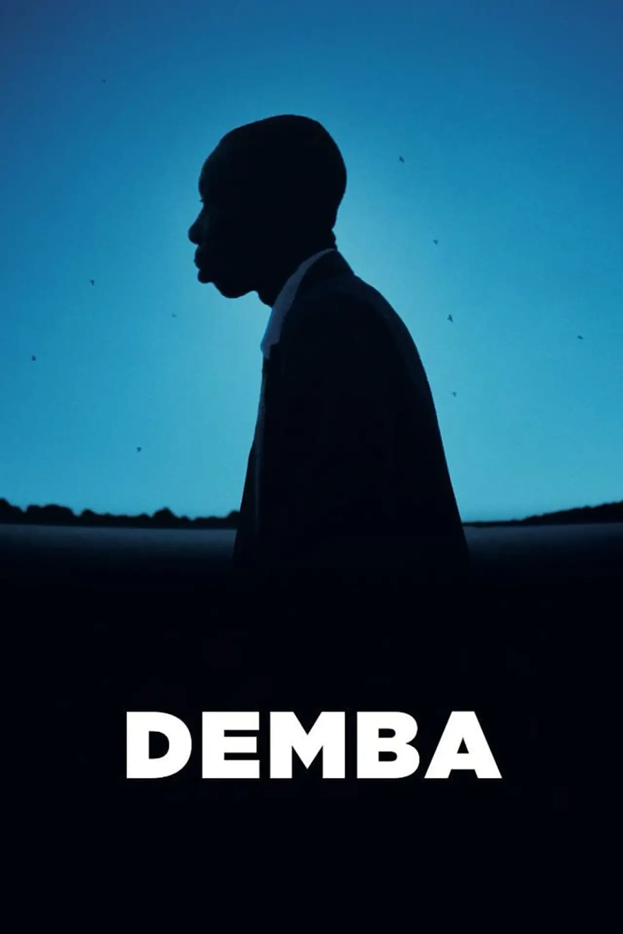 Plakat filmowy "Demba"