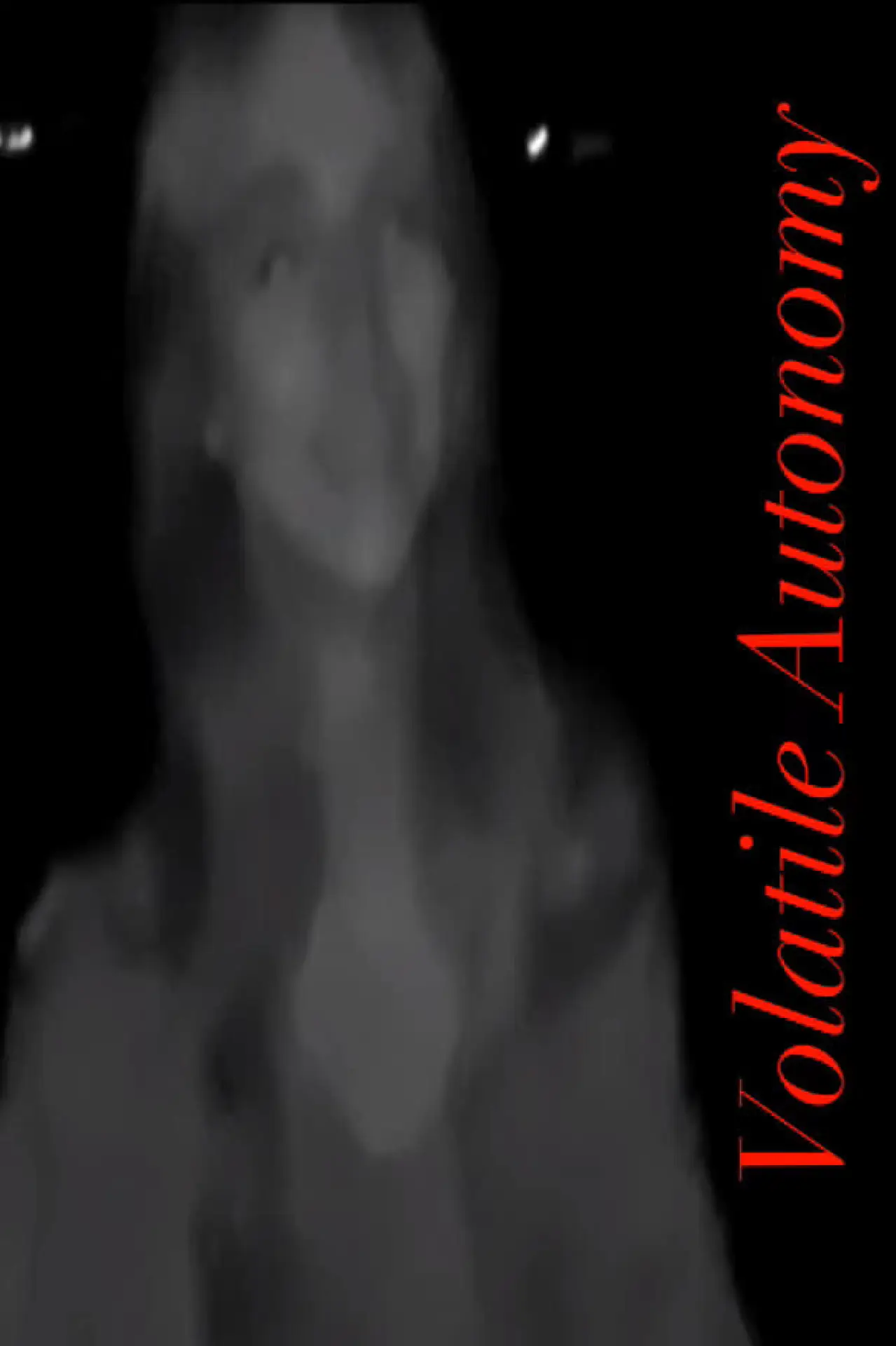Plakat filmowy "Volatile Autonomy"