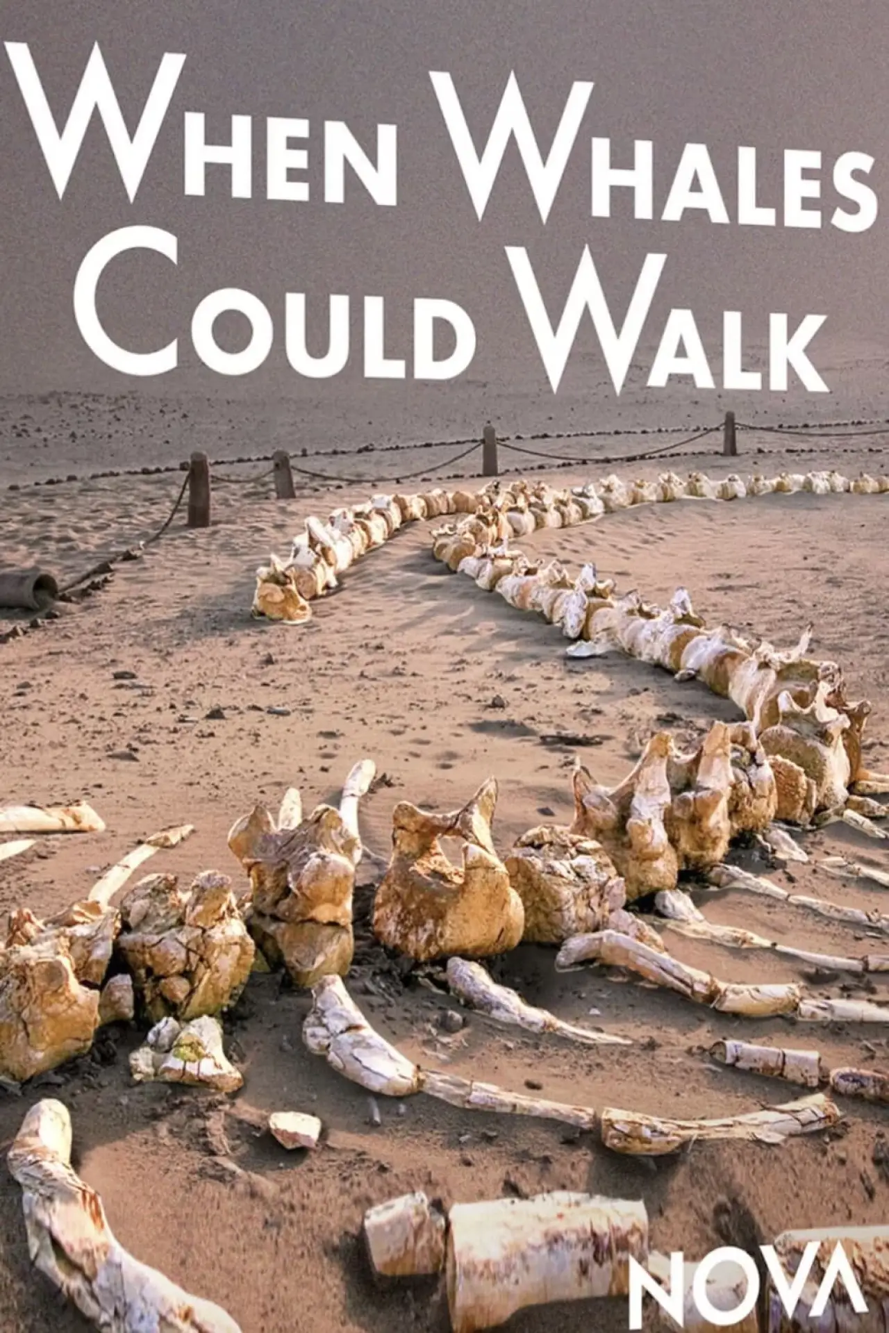 Plakat filmowy "When Whales Could Walk"