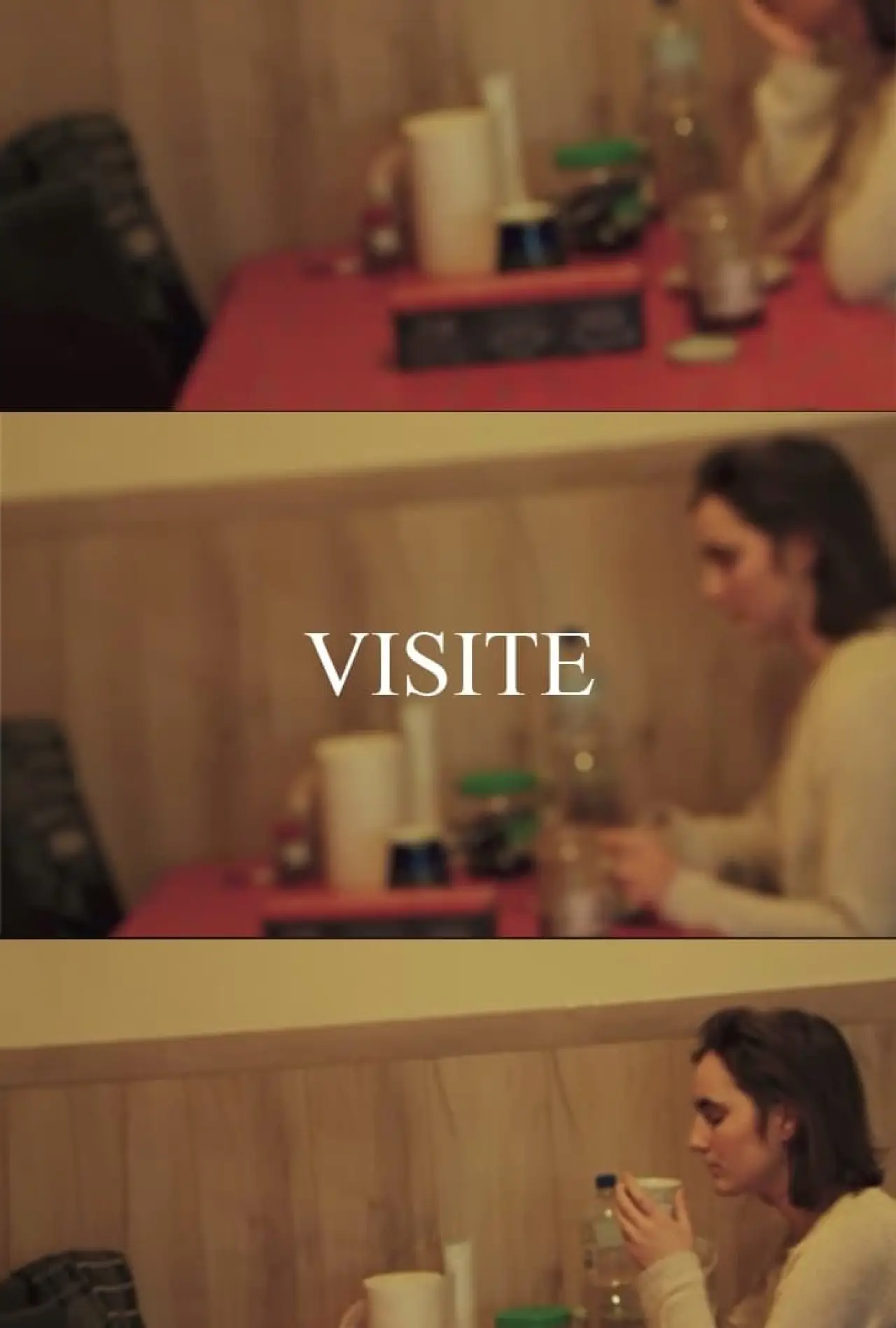 Plakat filmowy "VISIT"