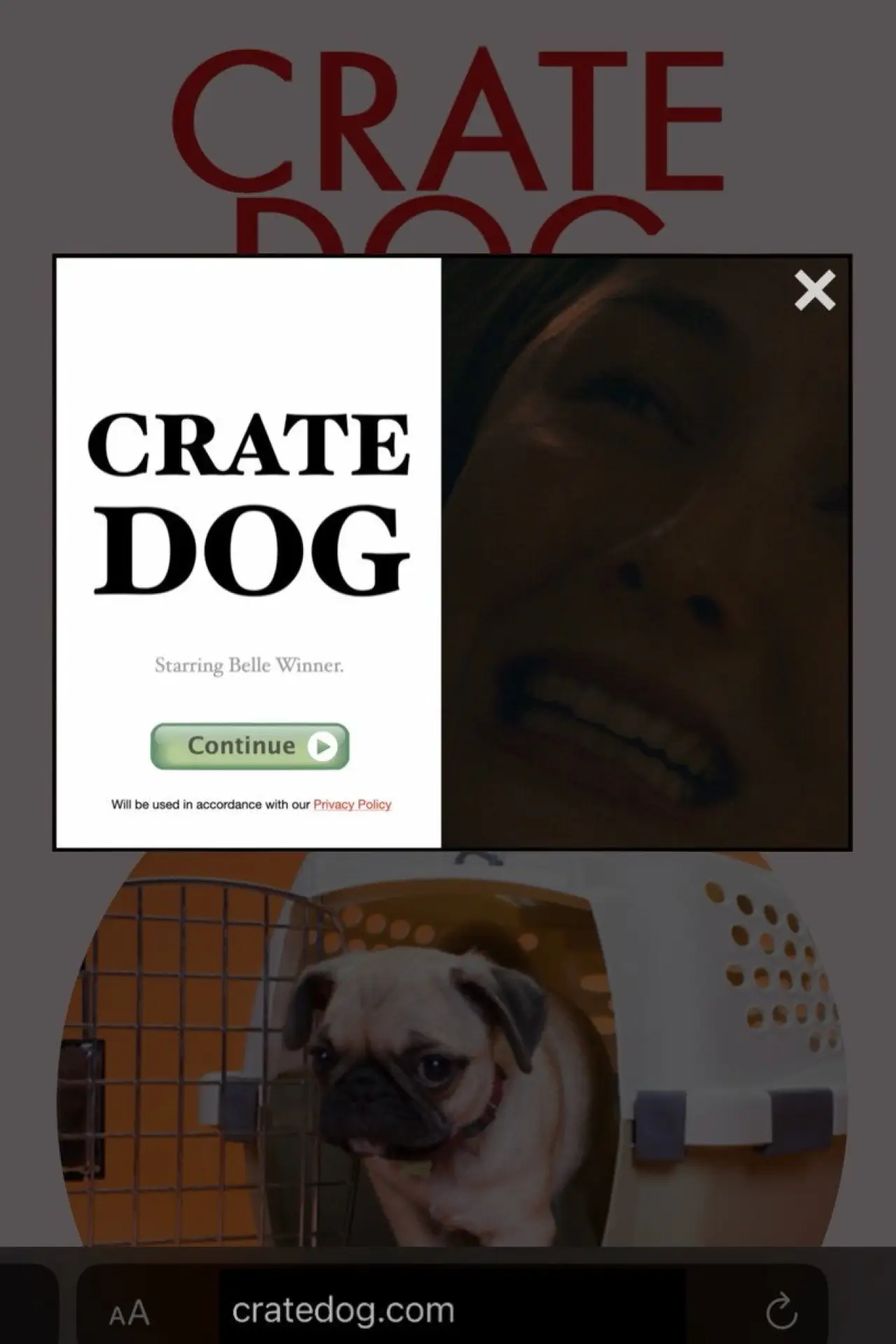 Plakat filmowy "Crate Dog"