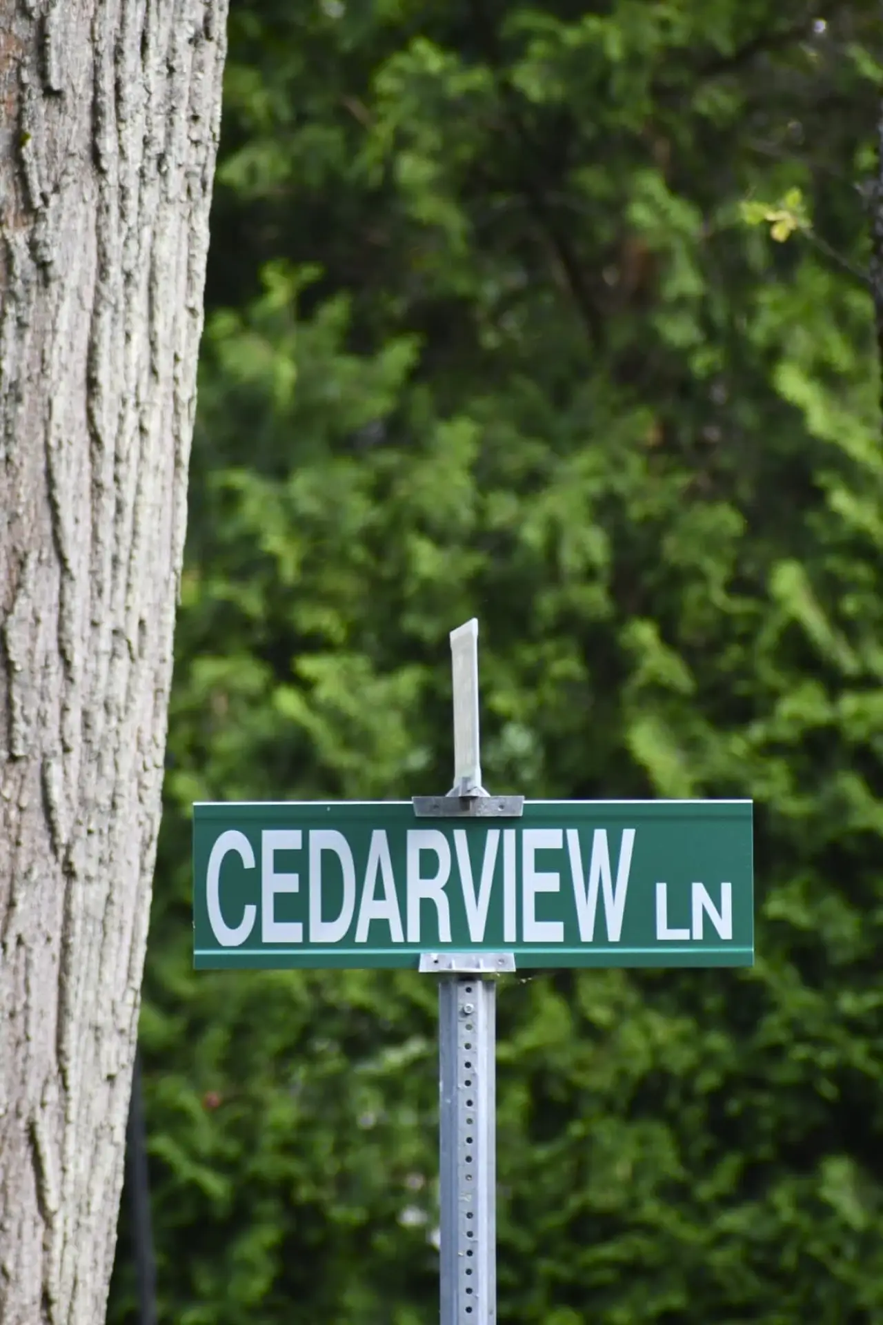 Plakat filmowy "Cedarview"