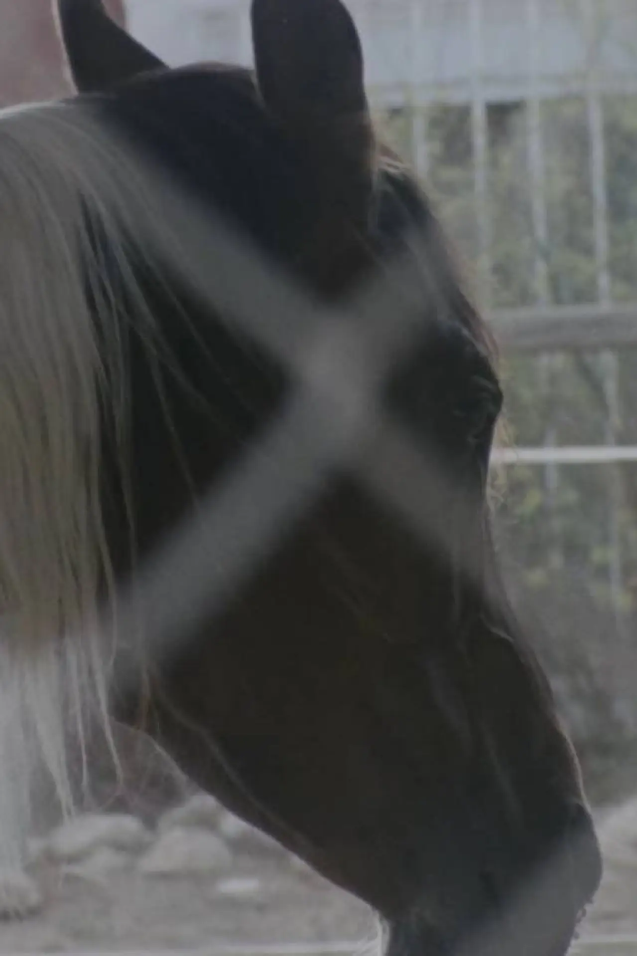 Plakat filmowy "Horse Girl"