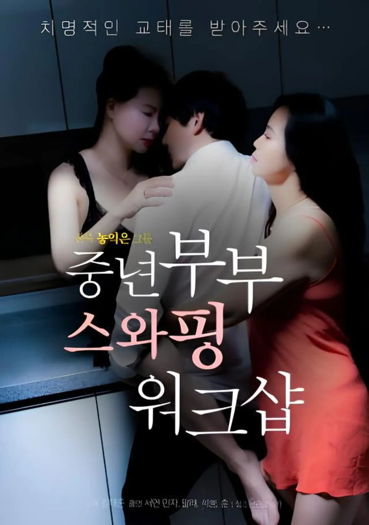 Plakat filmowy "중년부부 스와핑 워크샵"