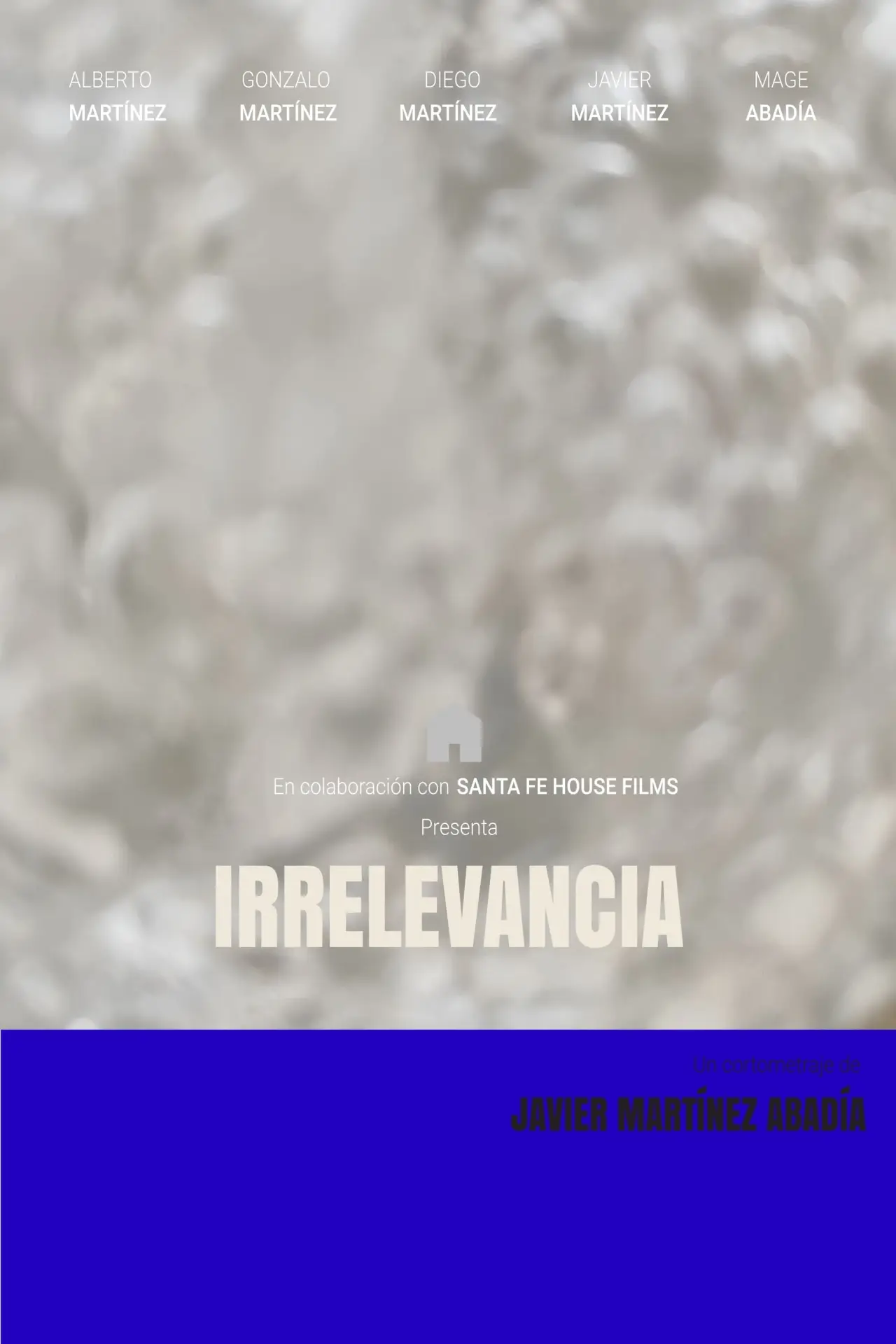 Plakat filmowy "Irrelevancia"