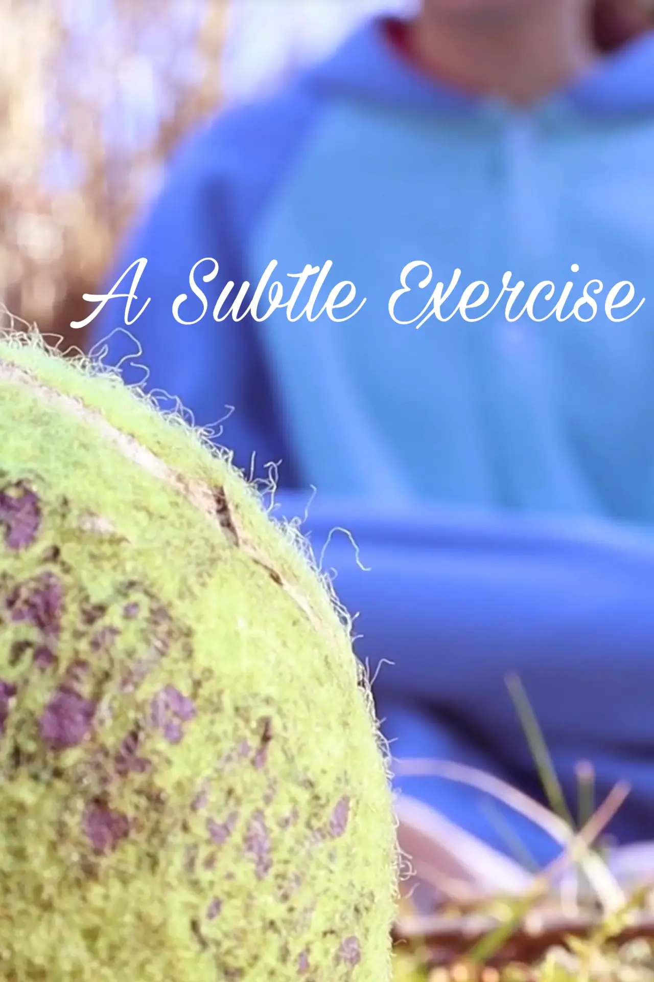 Plakat filmowy "A Subtle Exercise"