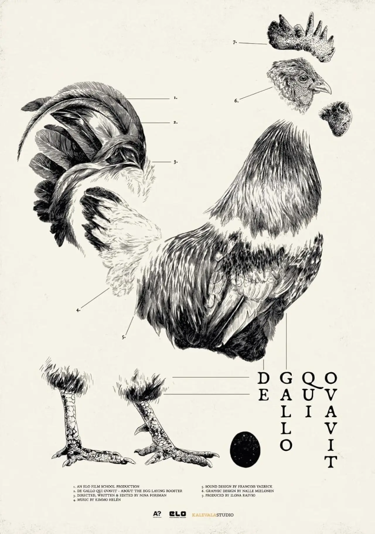 Plakat filmowy "De Gallo Qui Ovavit"