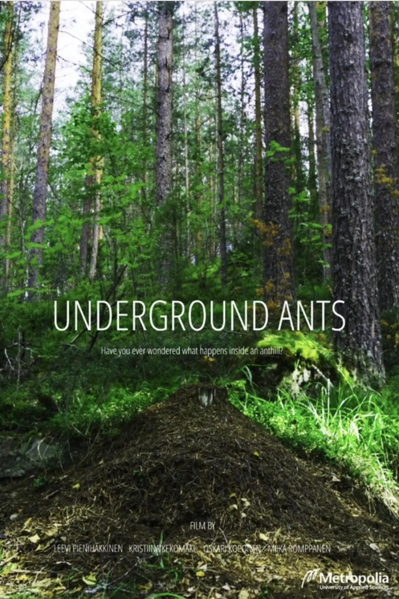 Plakat filmowy "Underground Ants"