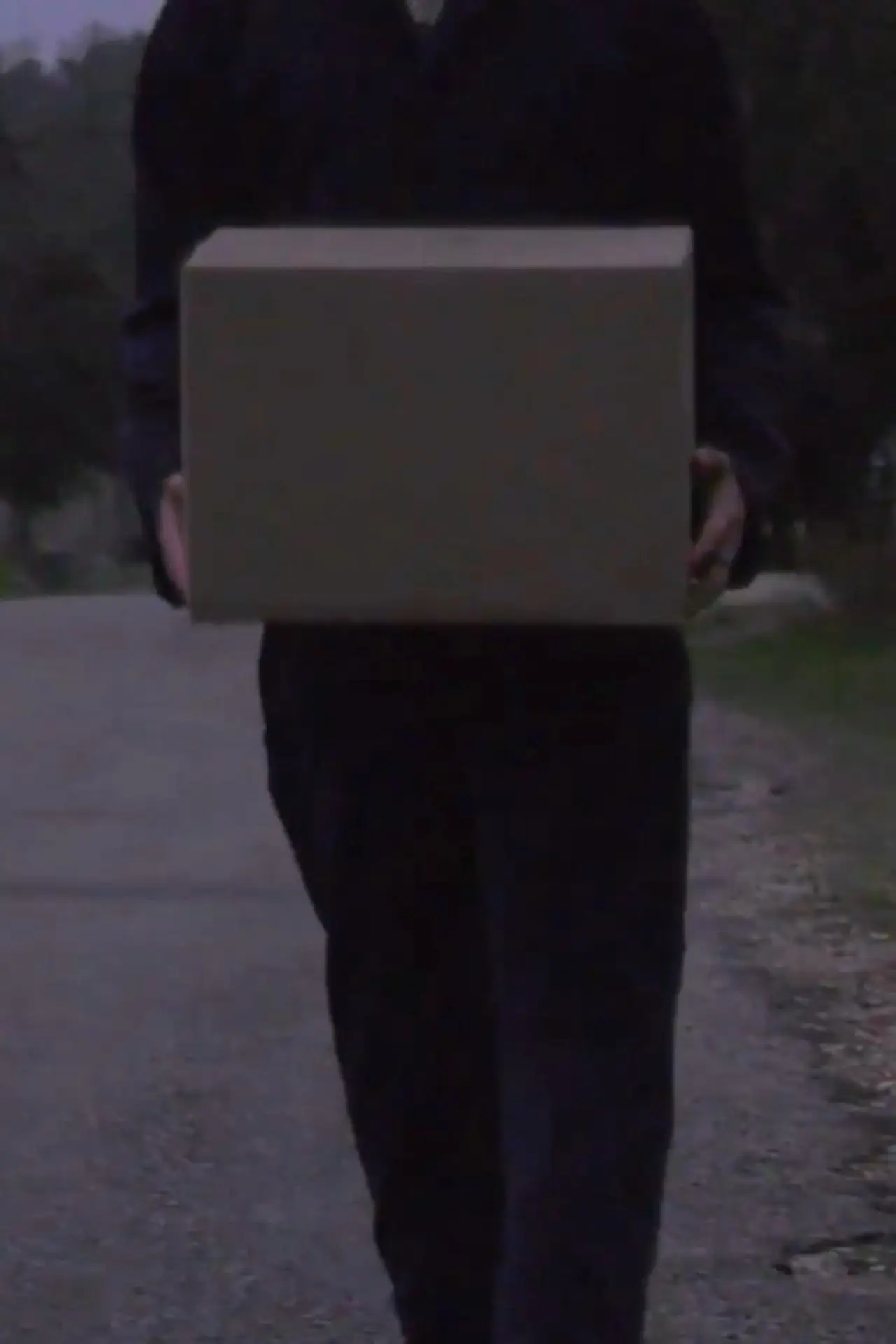 Plakat filmowy "Delivery"