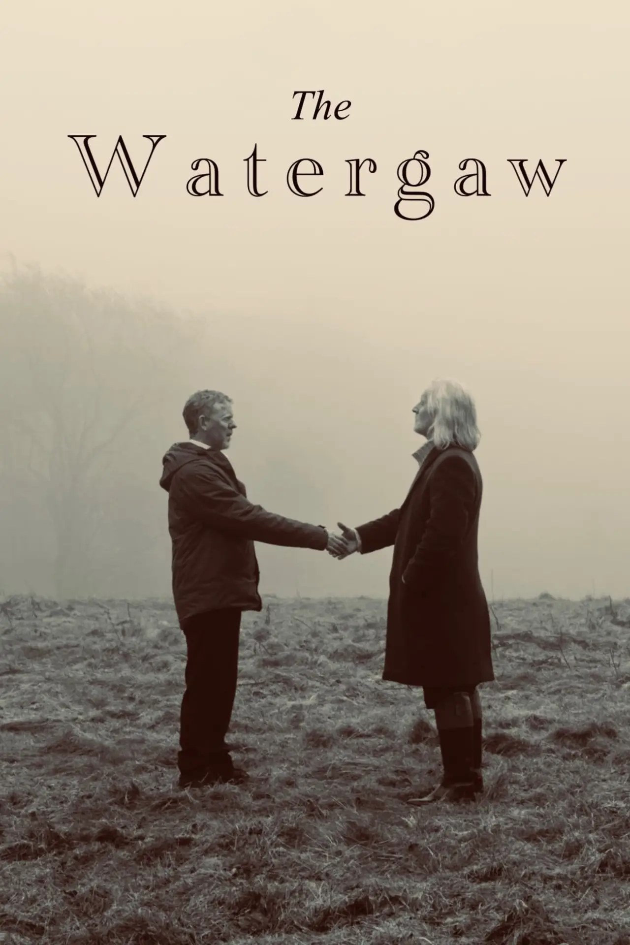 Plakat filmowy "The Watergaw"