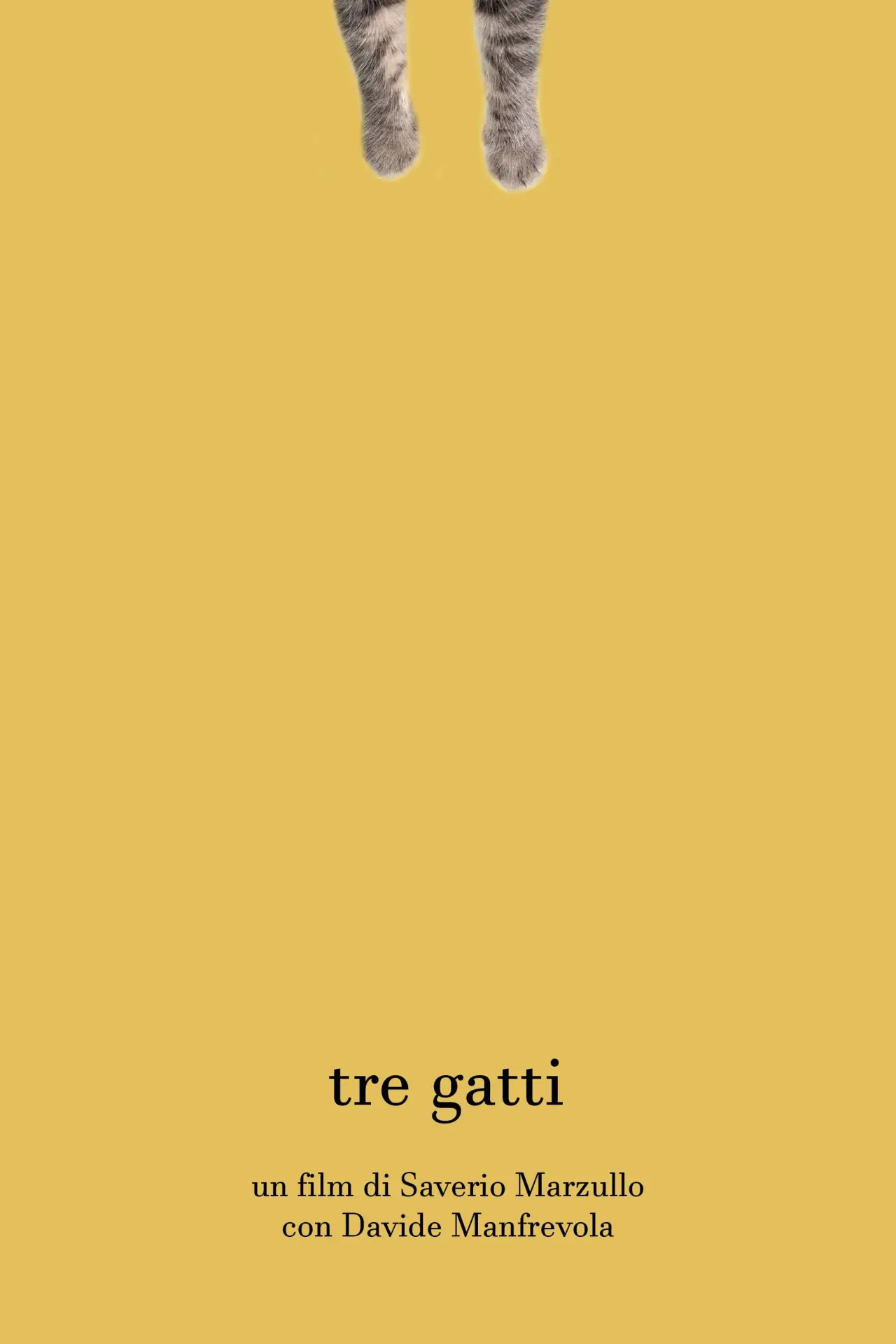 Plakat filmowy "Tre gatti"