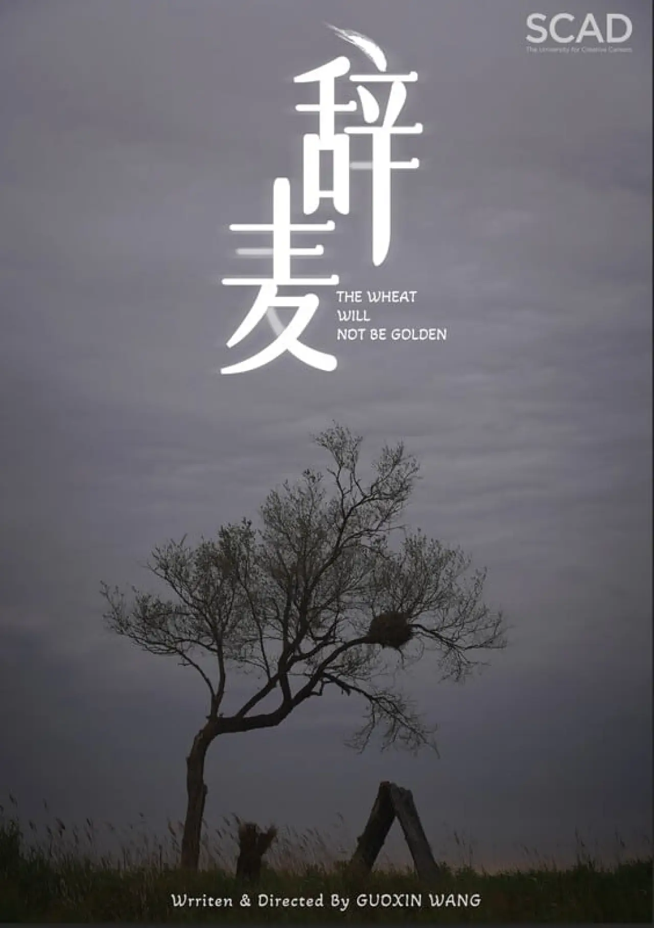 Plakat filmowy "The Wheat Will Not Be Golden"
