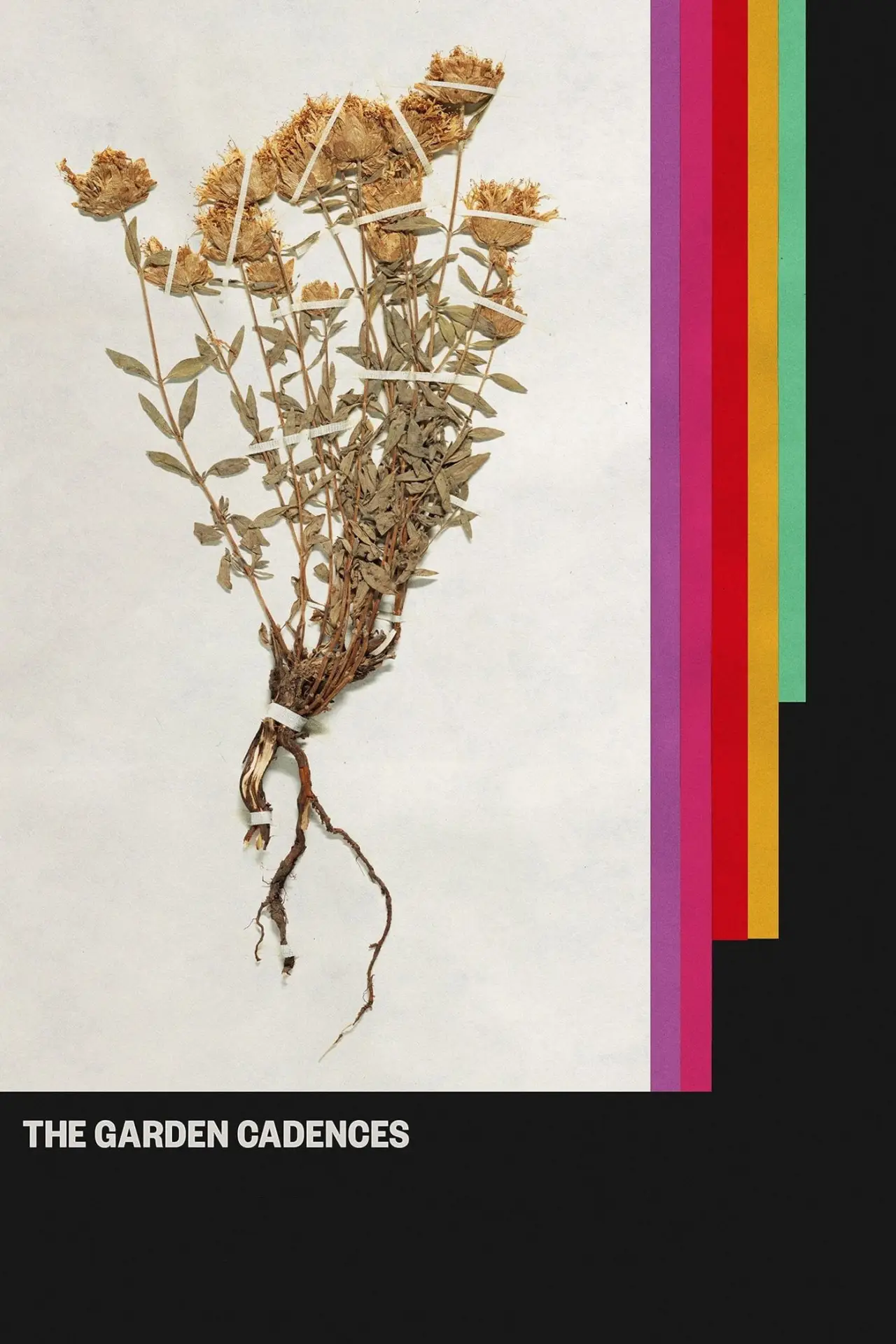 Plakat filmowy "The Garden Cadences"