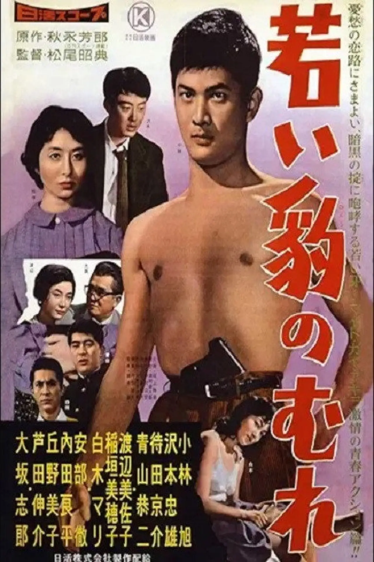 Plakat filmowy "若い豹のむれ"