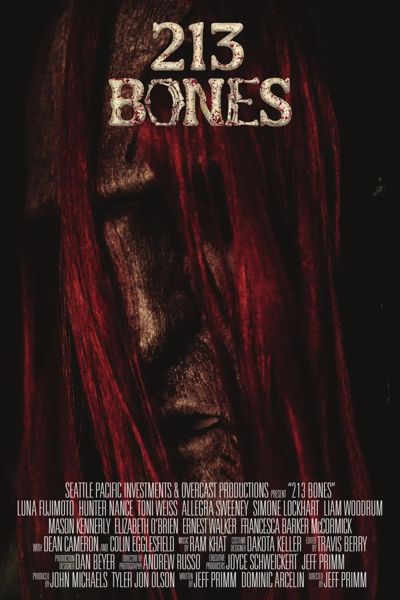Plakat filmowy "213 Bones"