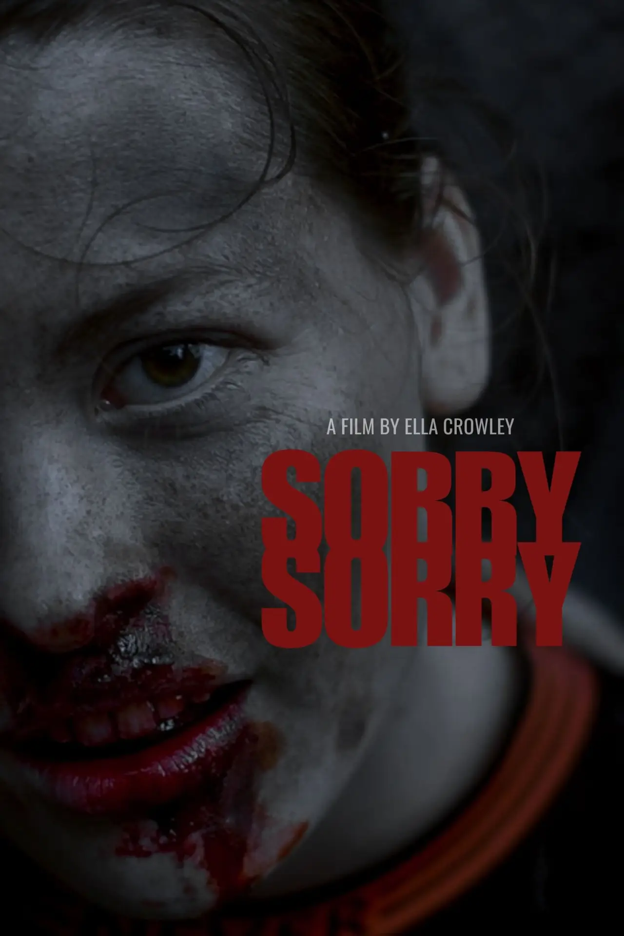 Plakat filmowy "Sorry Sorry"