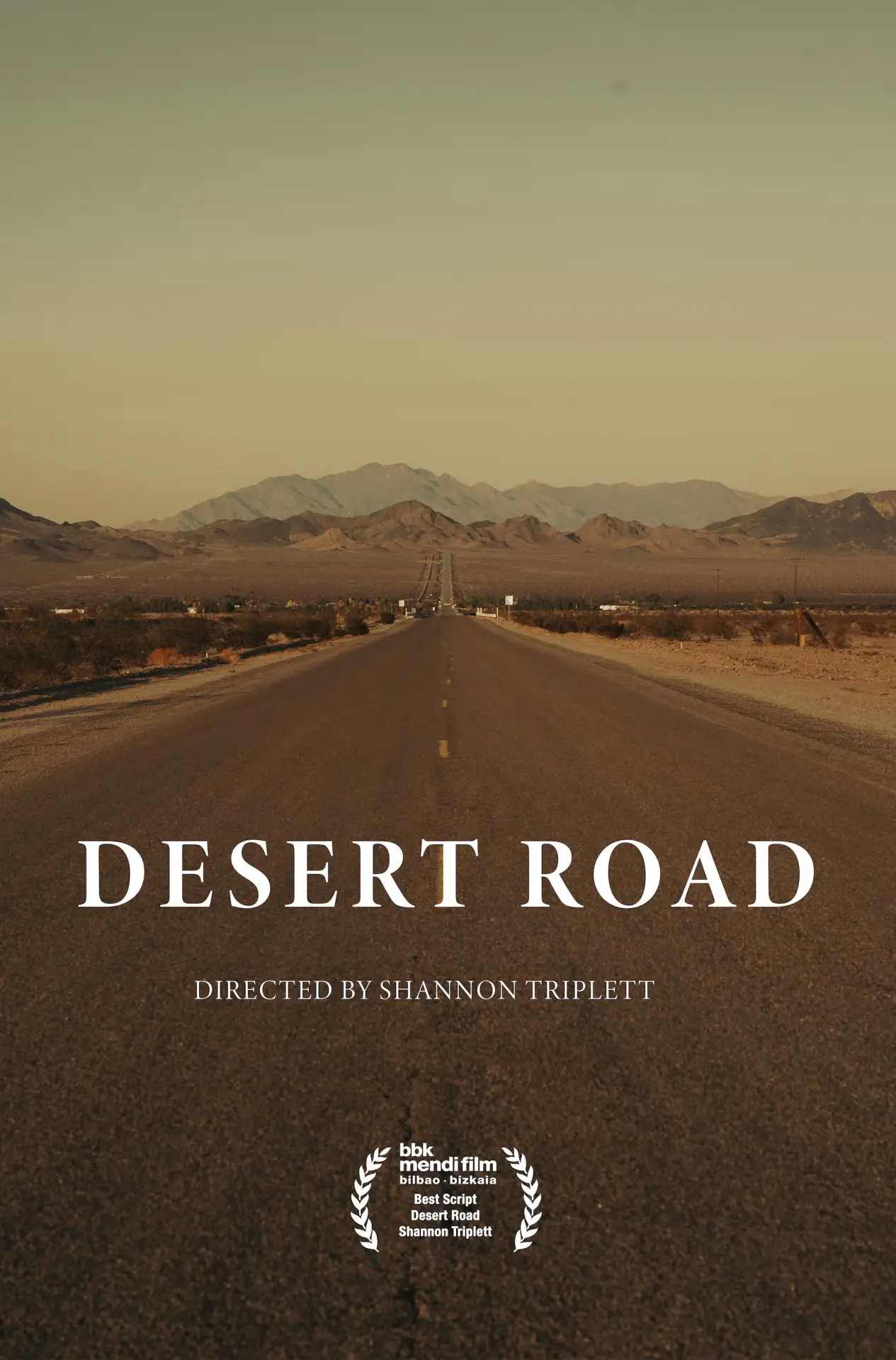 Plakat filmowy "Desert Road"