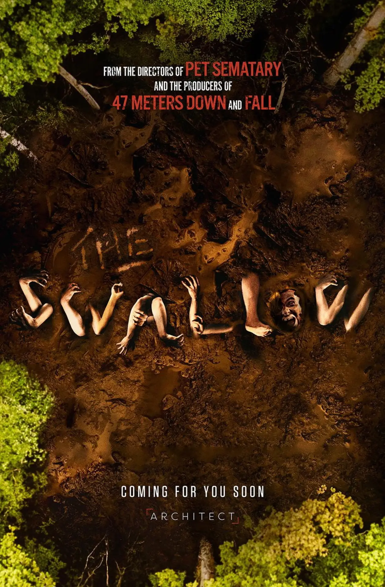 Plakat filmowy "The Swallow"