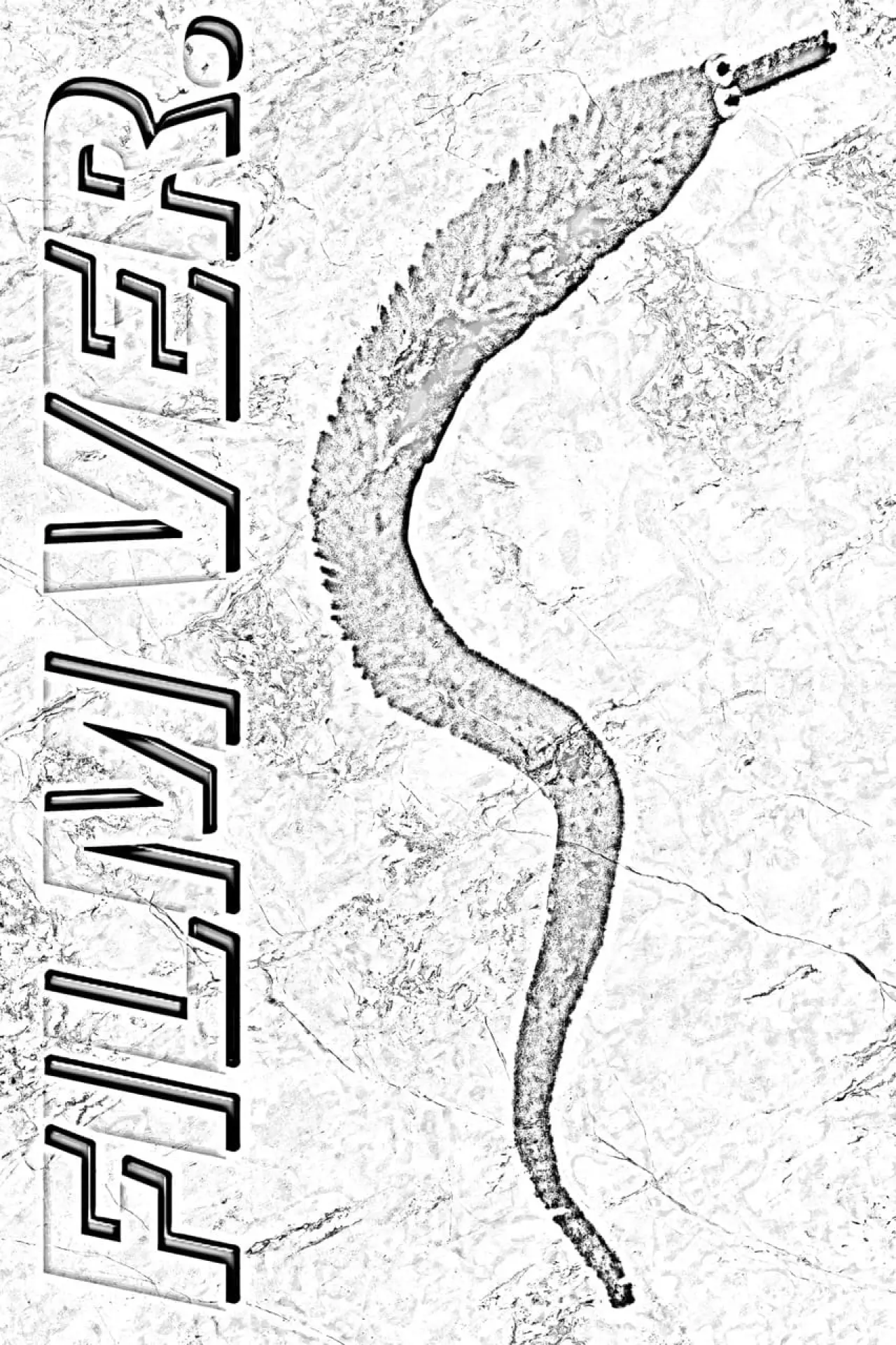 Plakat filmowy "FILM VER."