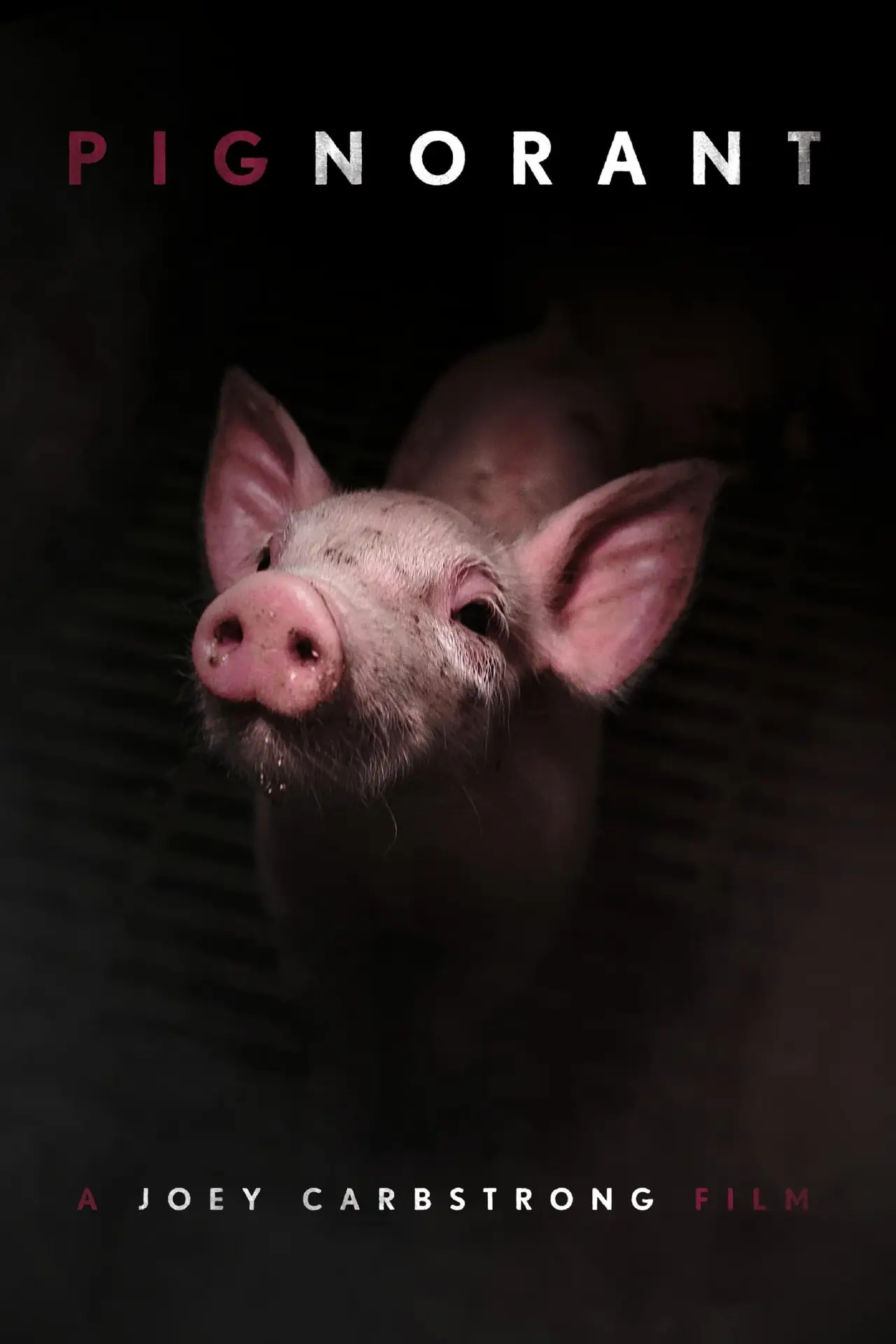 Plakat filmowy "Pignorant"