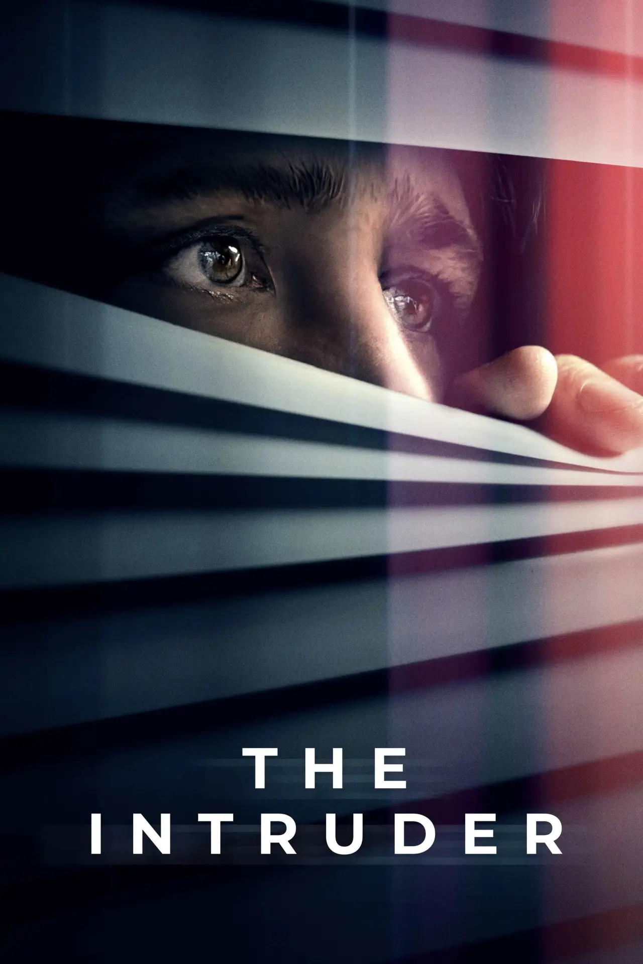Plakat filmowy "The Intruder"