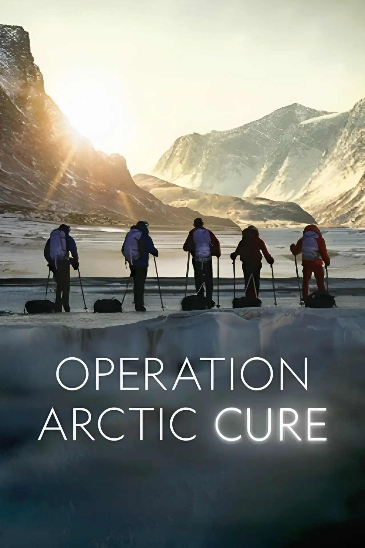 Plakat filmowy "Operation Arctic Cure"