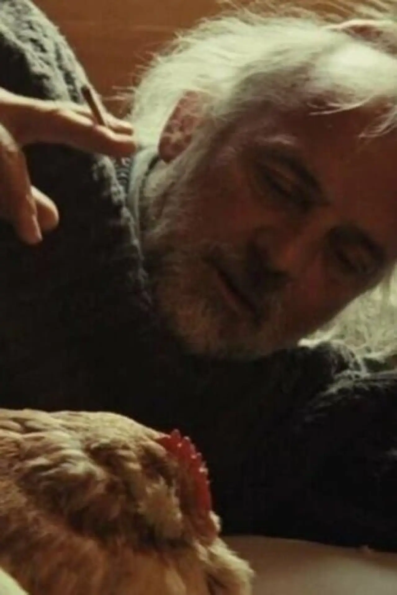 Plakat filmowy "Ma Poule"
