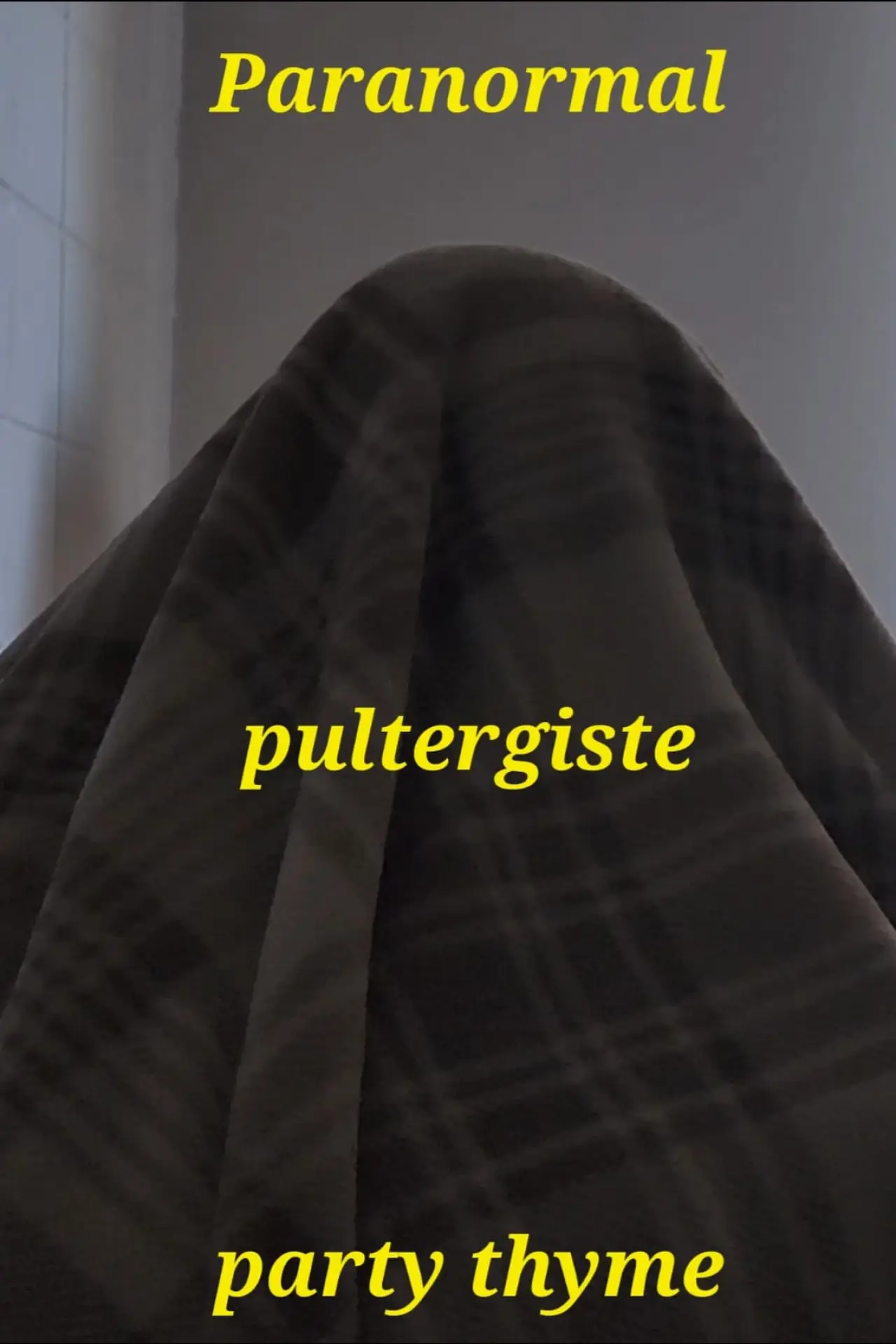 Plakat filmowy "Paranormal Poltergeist Party Time"