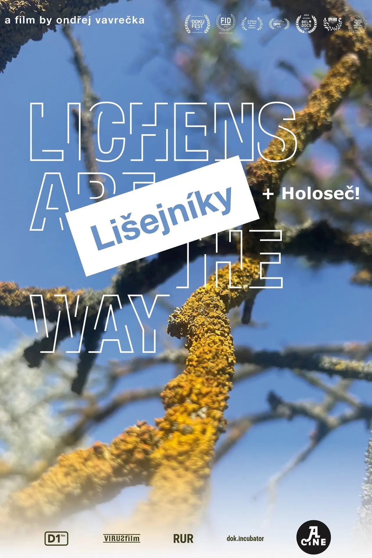 Plakat filmowy "Lichens Are the Way"