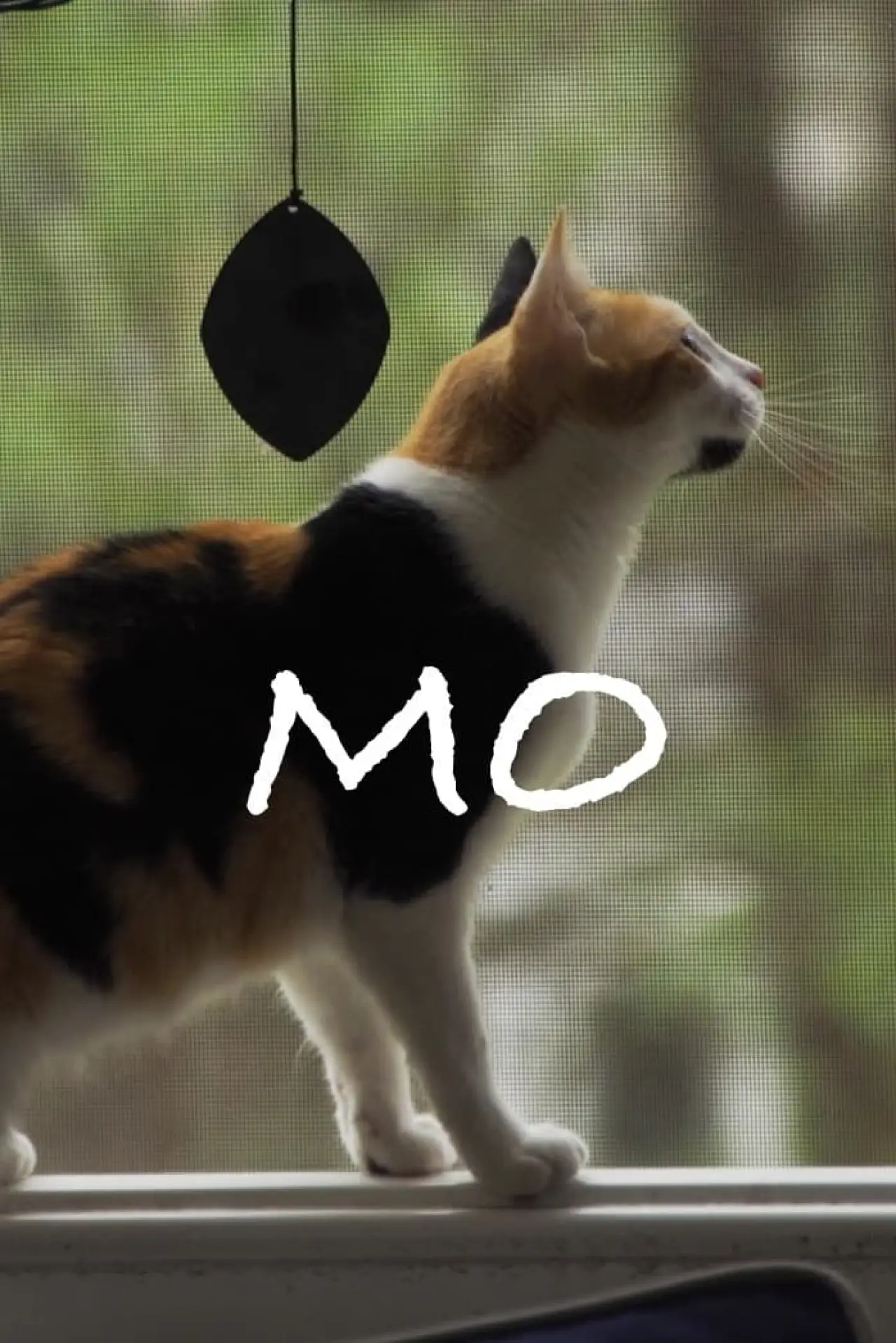 Plakat filmowy "Mo"