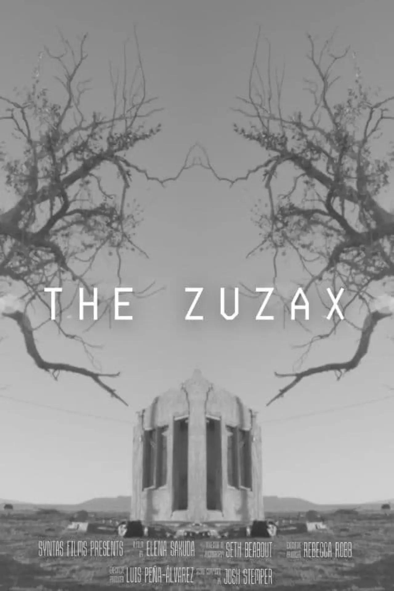 Plakat filmowy "The Zuzax"