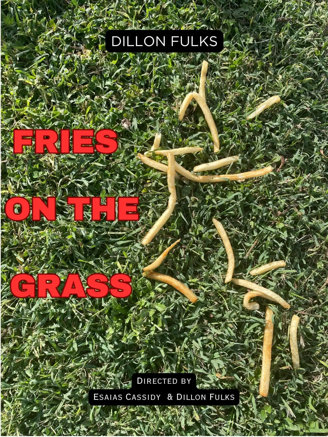 Plakat filmowy "Fries on the Grass"
