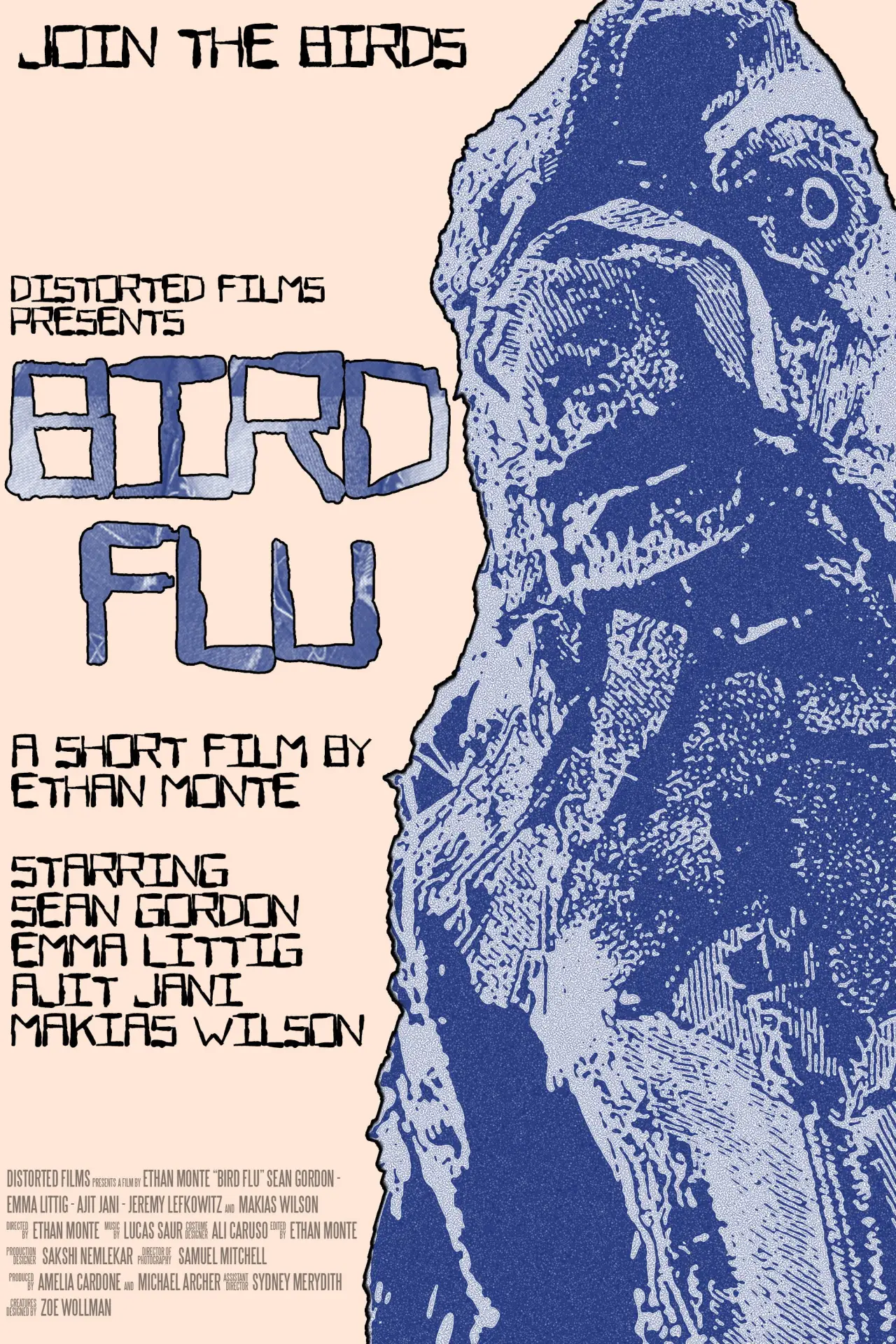 Plakat filmowy "Bird Flu"
