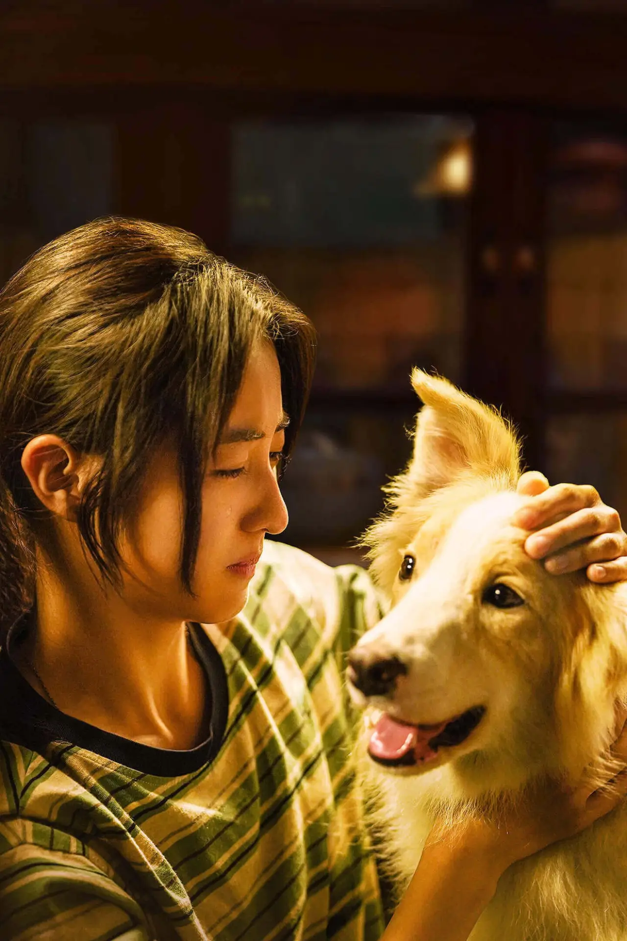 Plakat filmowy "我会好好的"