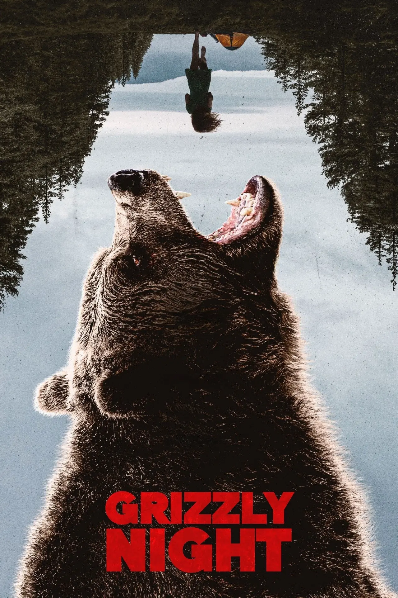Plakat filmowy "Grizzly Night"