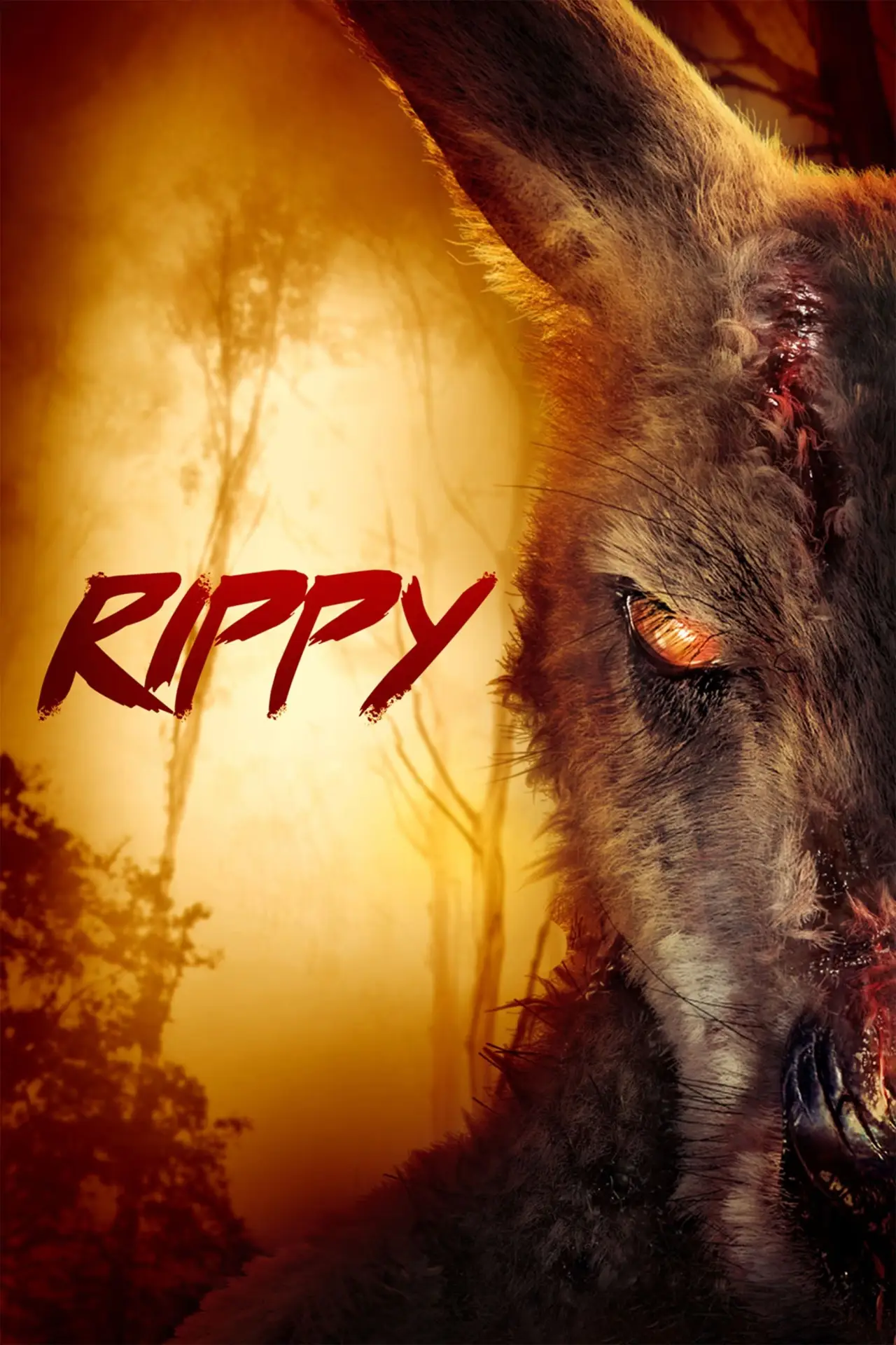 Plakat filmowy "Rippy"