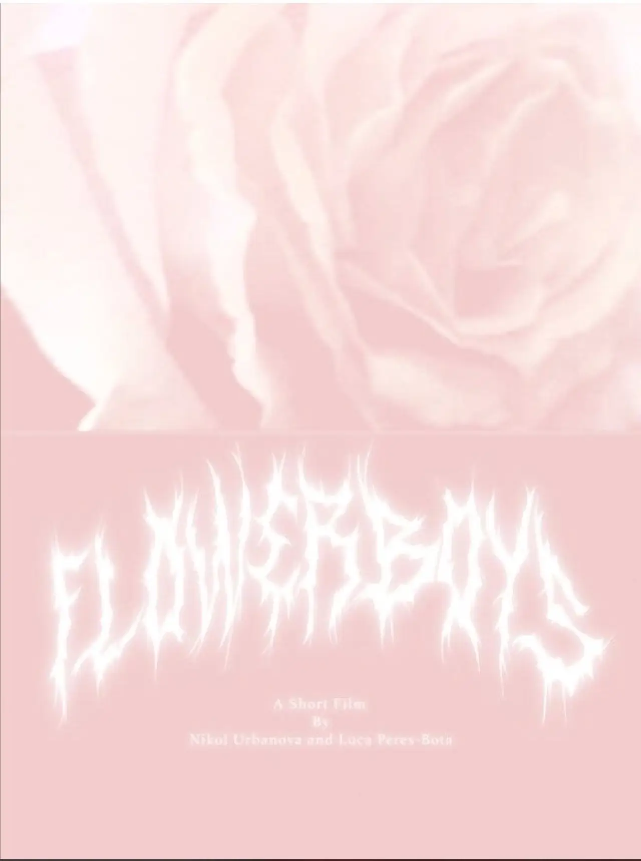 Plakat filmowy "Flowerboys"