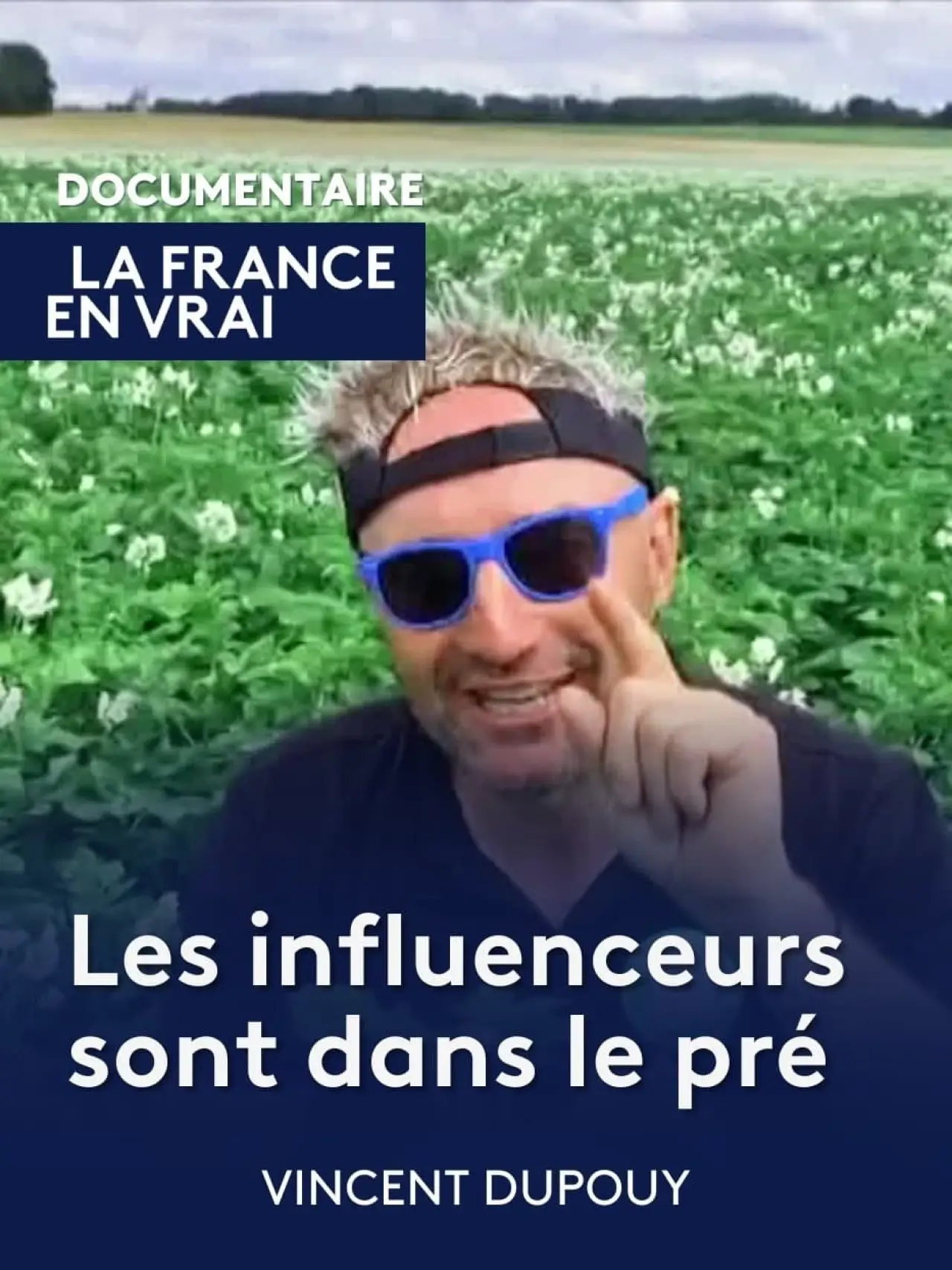 Plakat filmowy "Les influenceurs sont dans le pré"