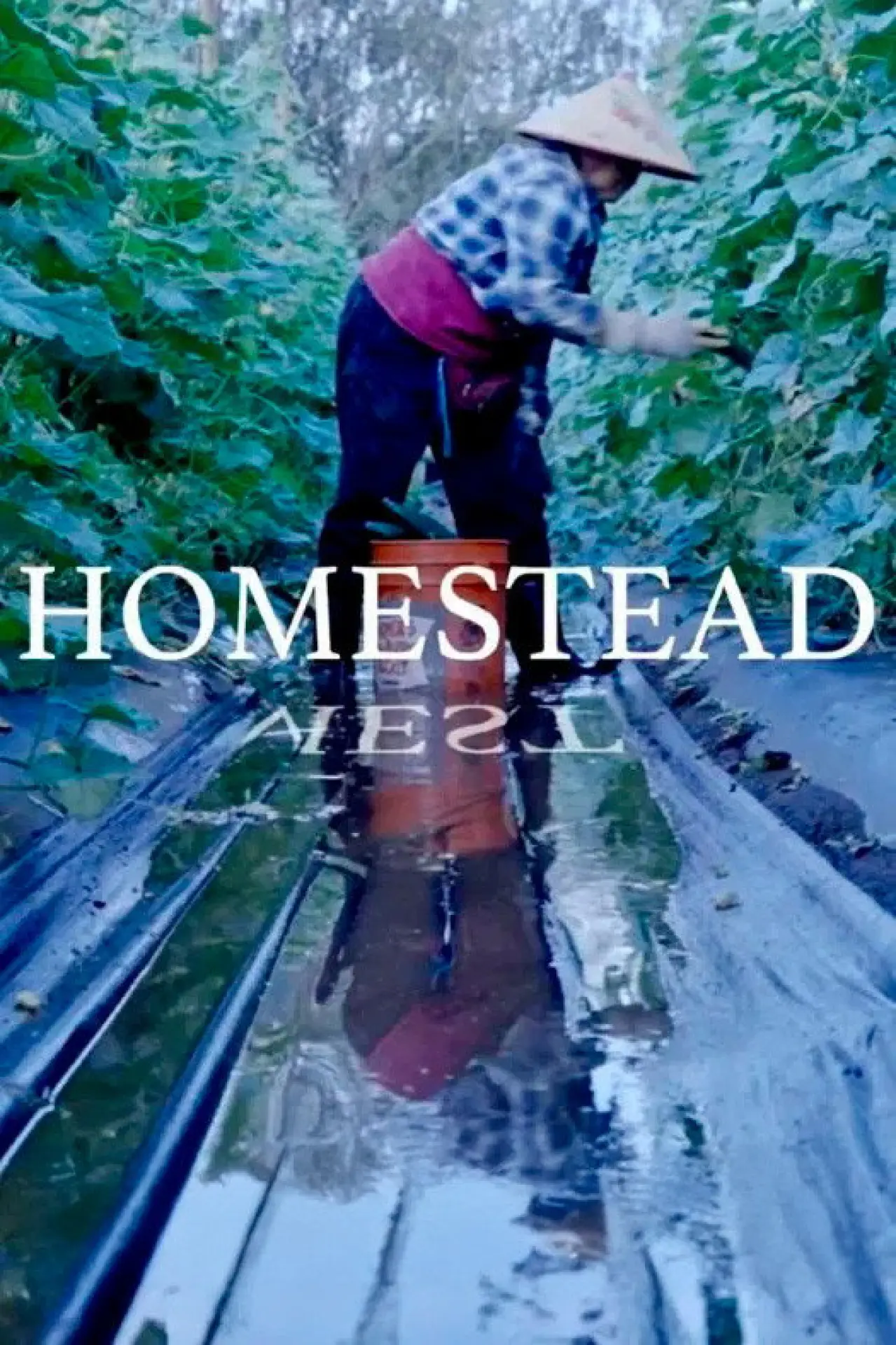 Plakat filmowy "Homestead"