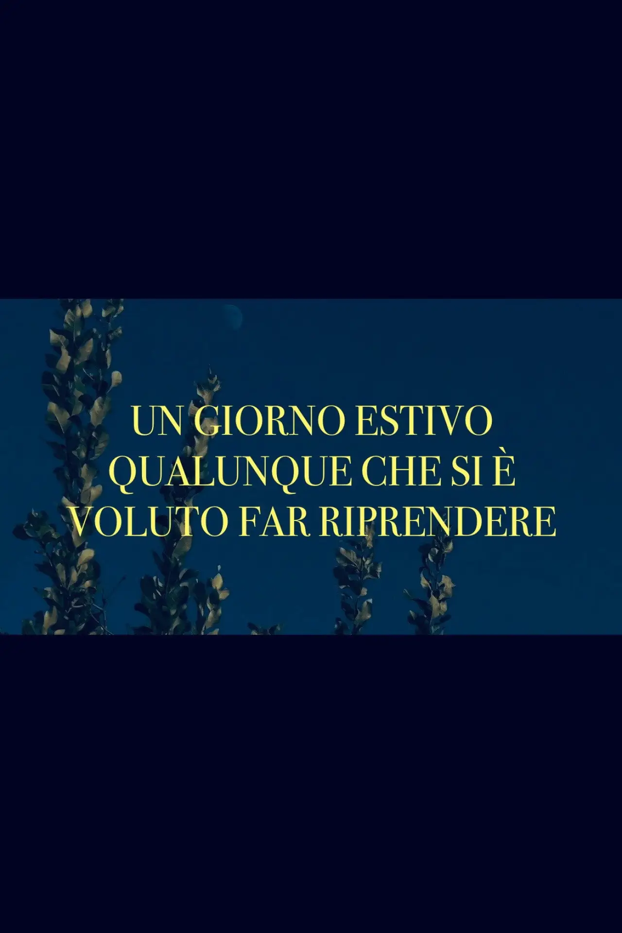 Plakat filmowy "Un giorno estivo qualunque che si è voluto far riprendere"