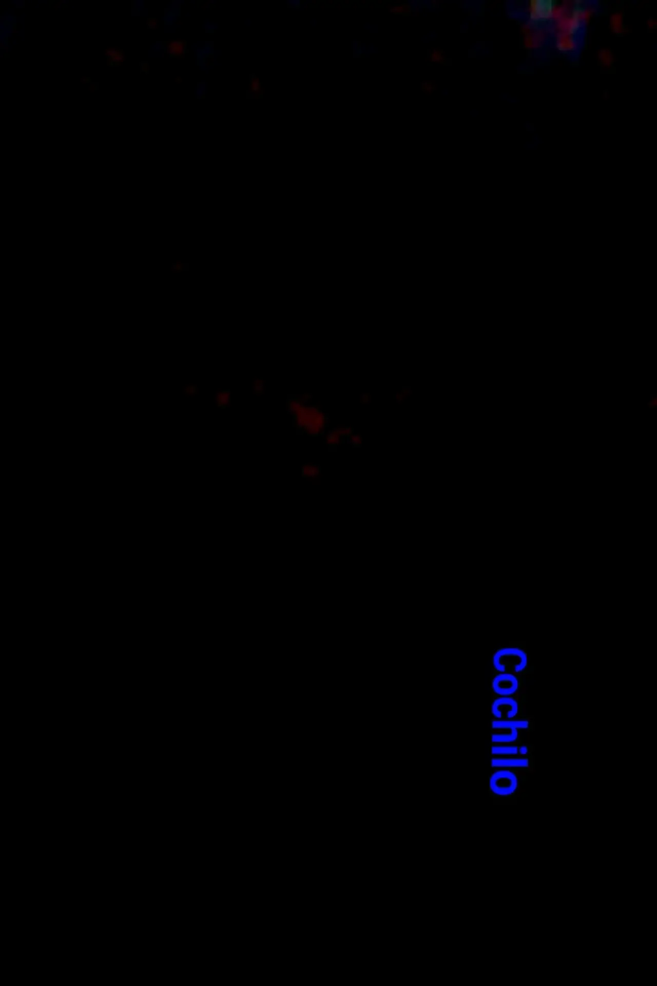 Plakat filmowy "Cochilo"