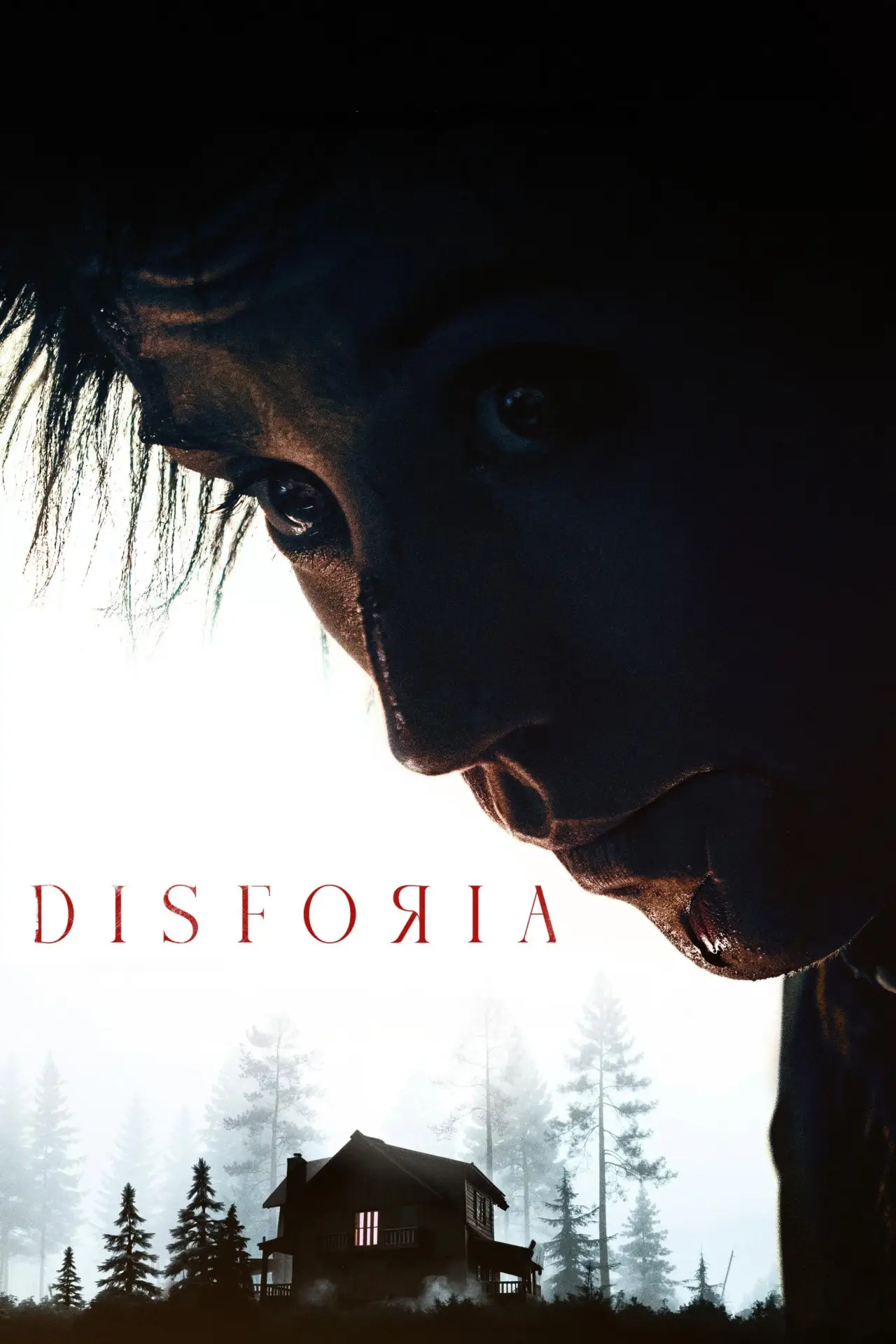 Plakat filmowy "Disforia"