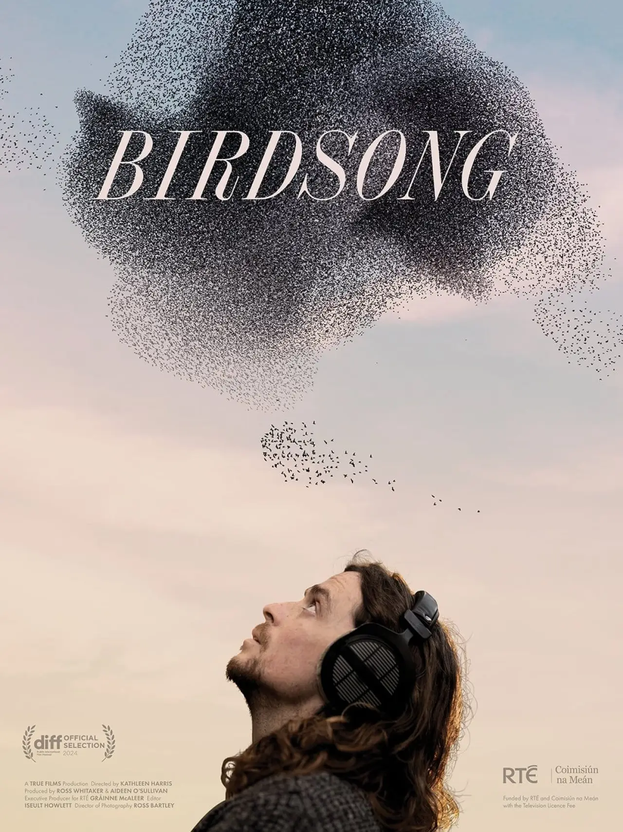 Plakat filmowy "Birdsong"