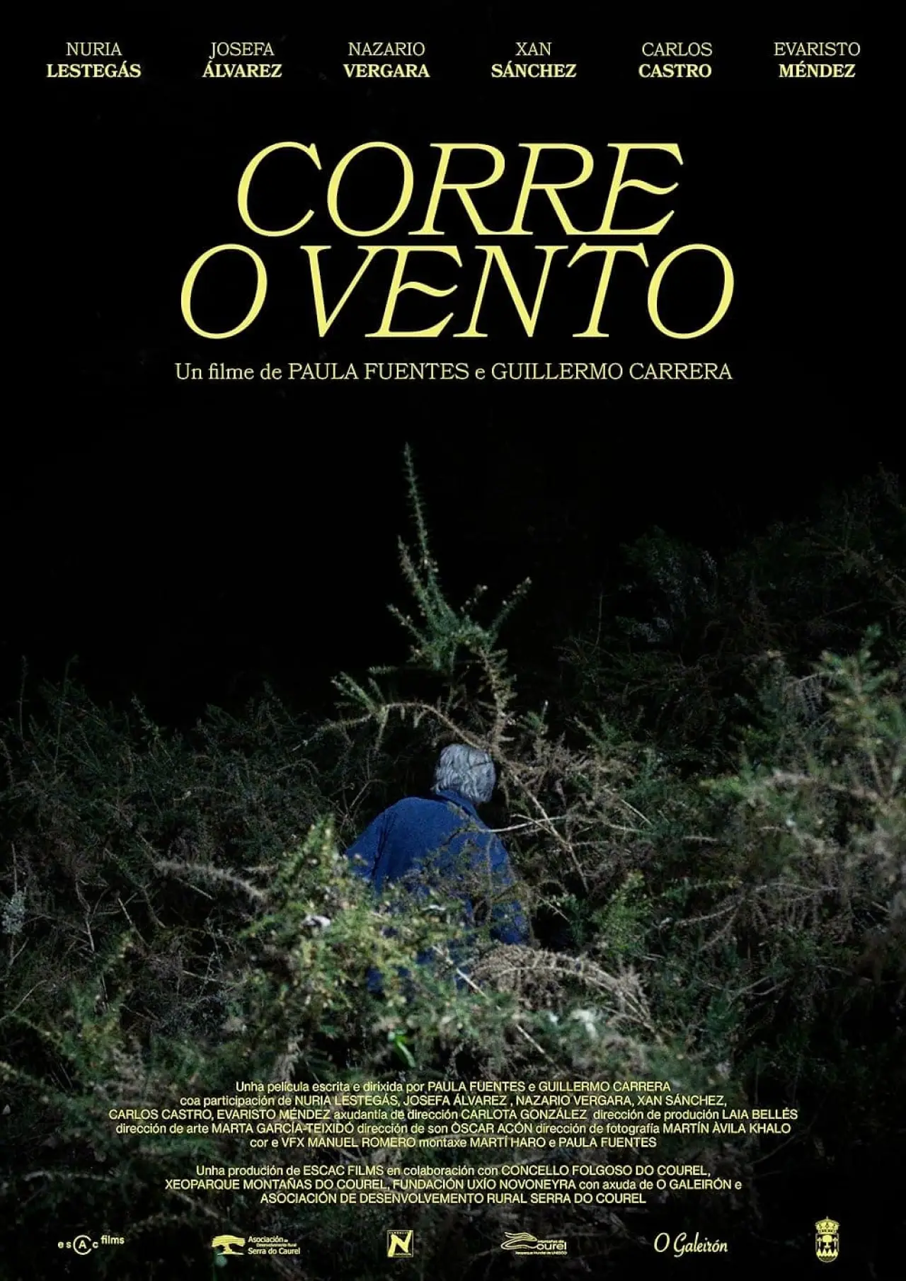 Plakat filmowy "Corre o vento"