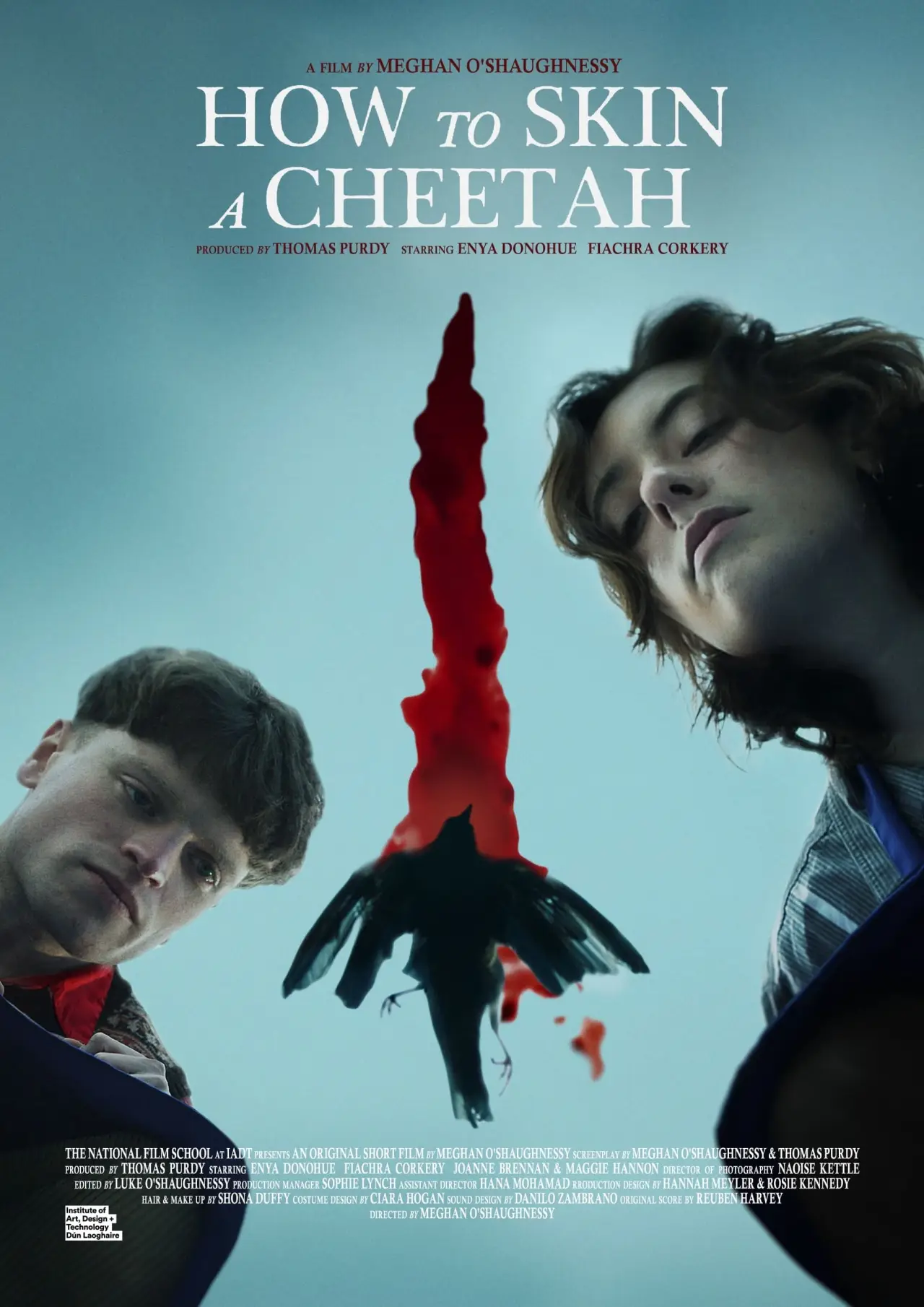 Plakat filmowy "How to Skin a Cheetah"