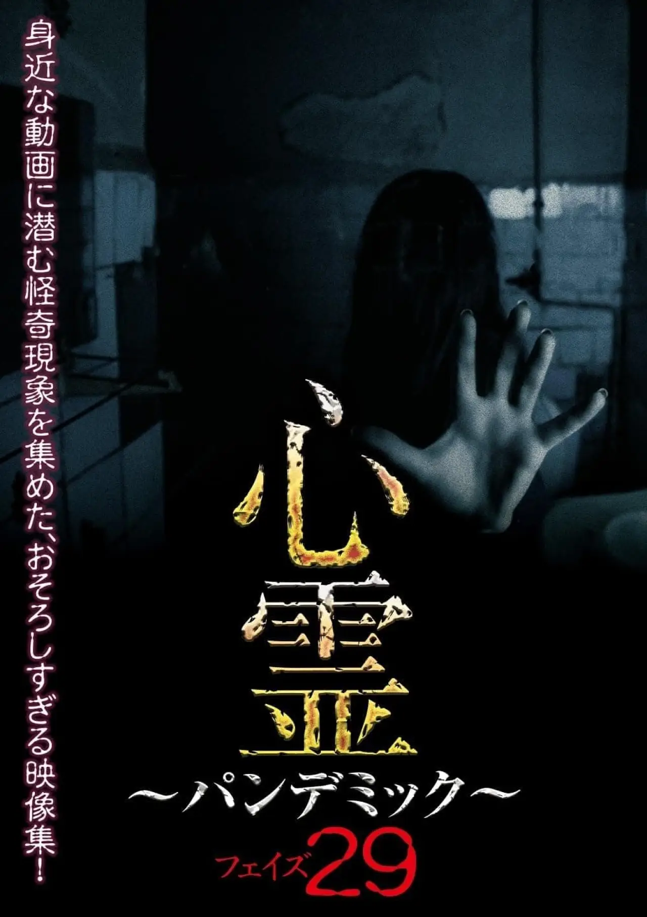 Plakat filmowy "心霊～パンデミック～ Vol.29"