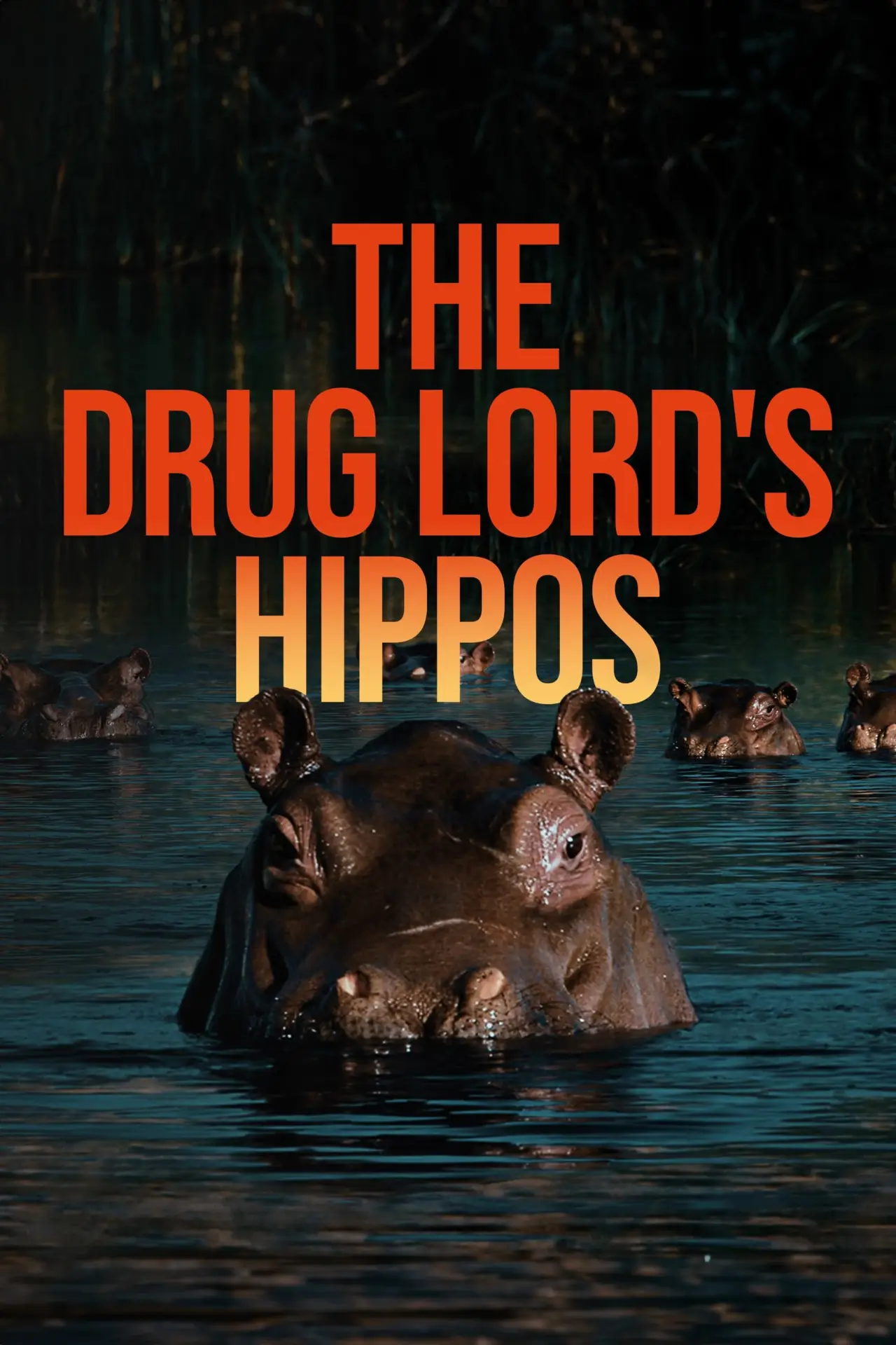 Plakat filmowy "The Drug Lord