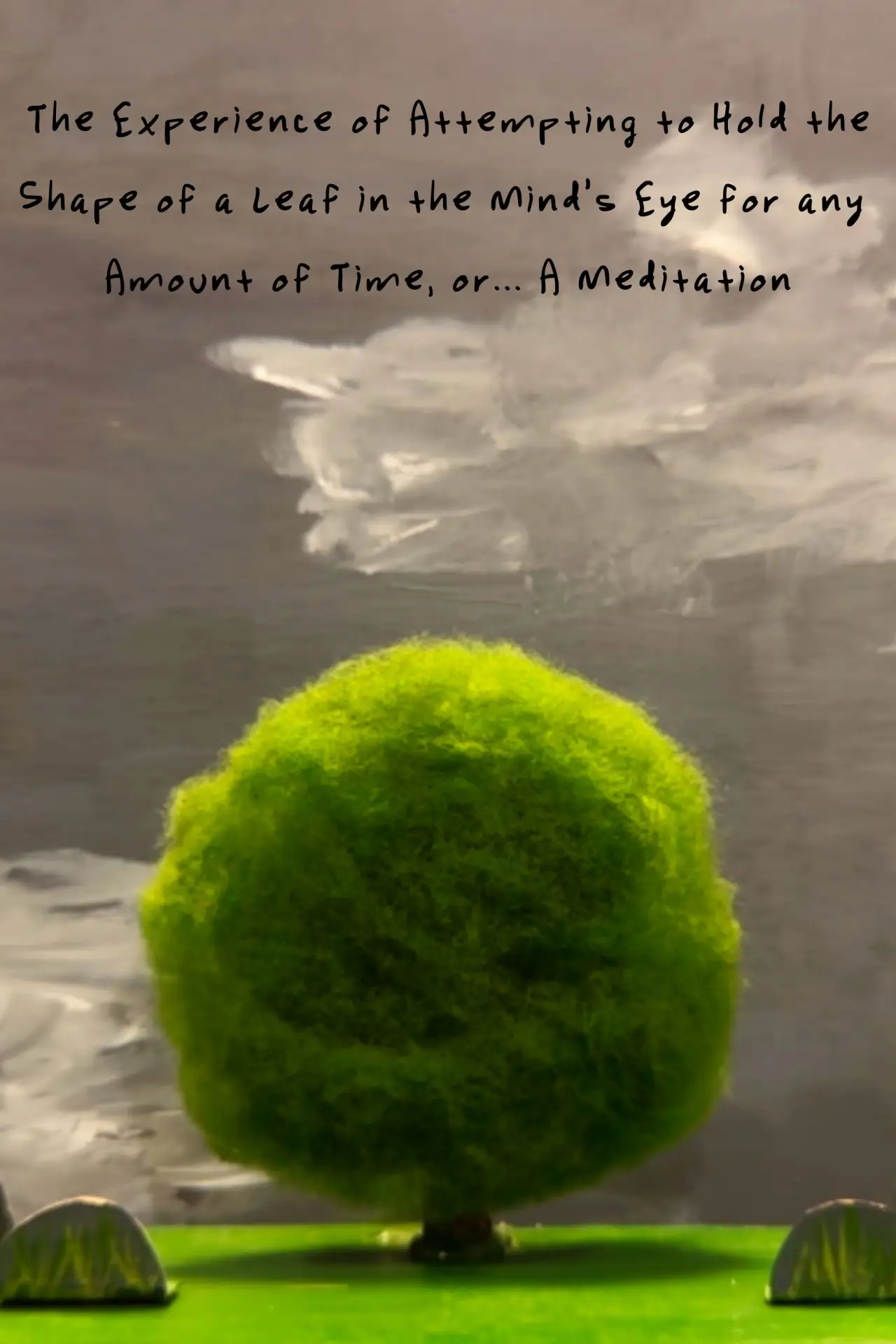 Plakat filmowy "The Experience of Attempting to Hold the Shape of a Leaf in the Mind’s Eye for any Amount of Time, or…A Meditation"