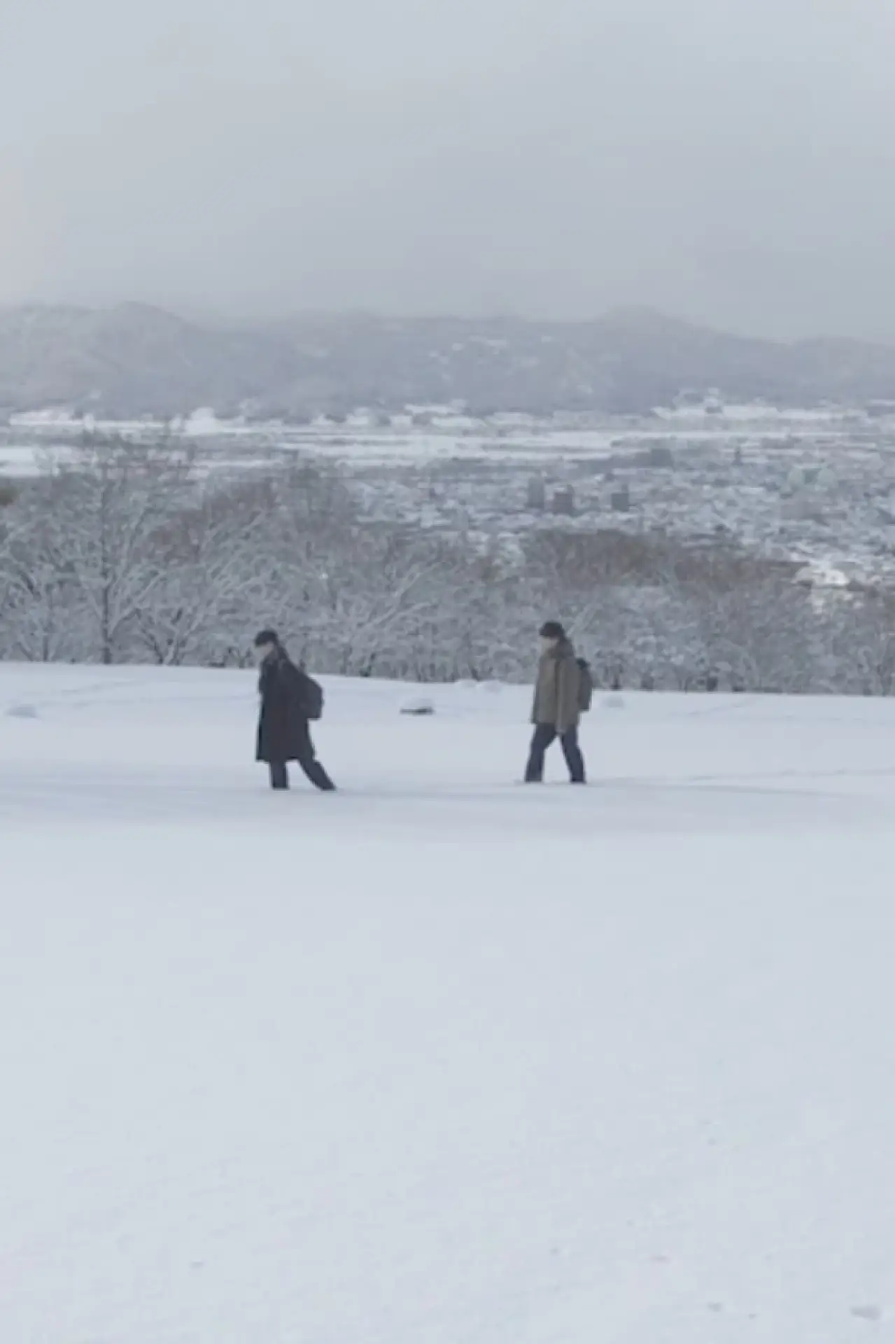 Plakat filmowy "彼方の家族"