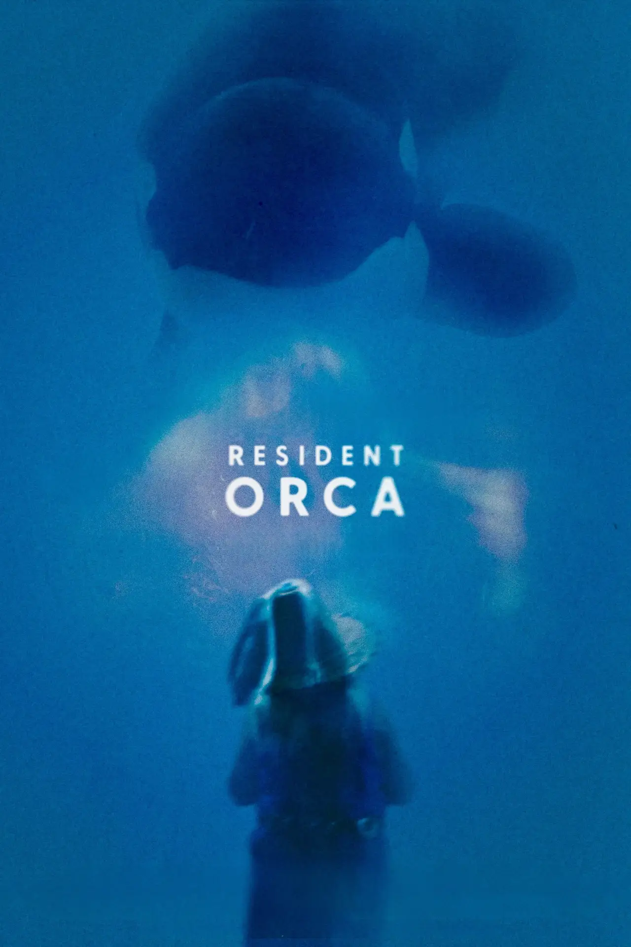 Plakat filmowy "Resident Orca"
